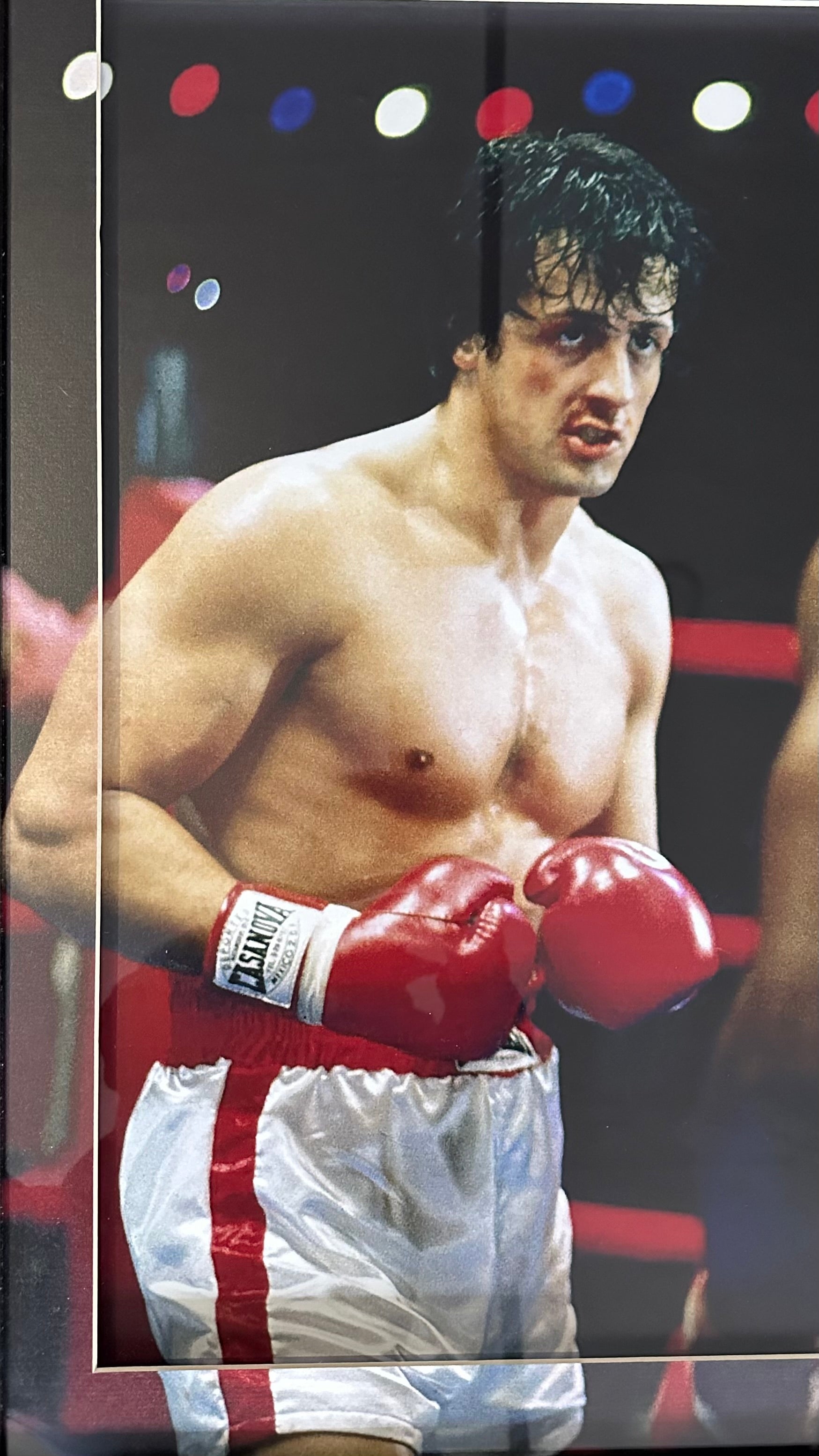 Rocky the "Italian Stallion" - Autographed Laser Disc