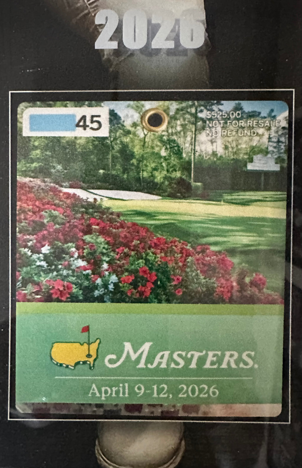 Rory McIlroy 2025 & 2026 back-to-back Masters Champion