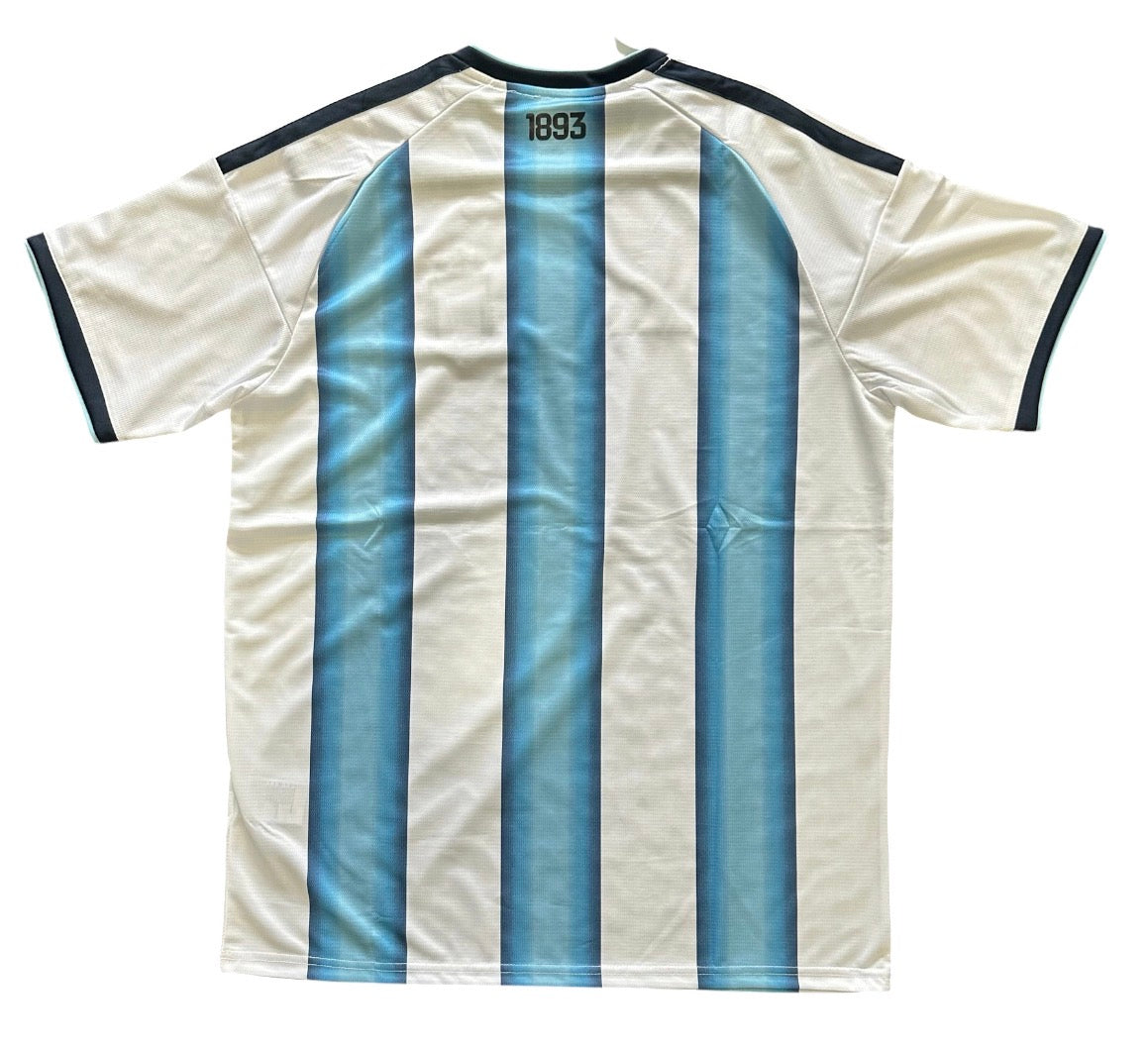 Argentina Soccer Jersey blue and white on SALE!