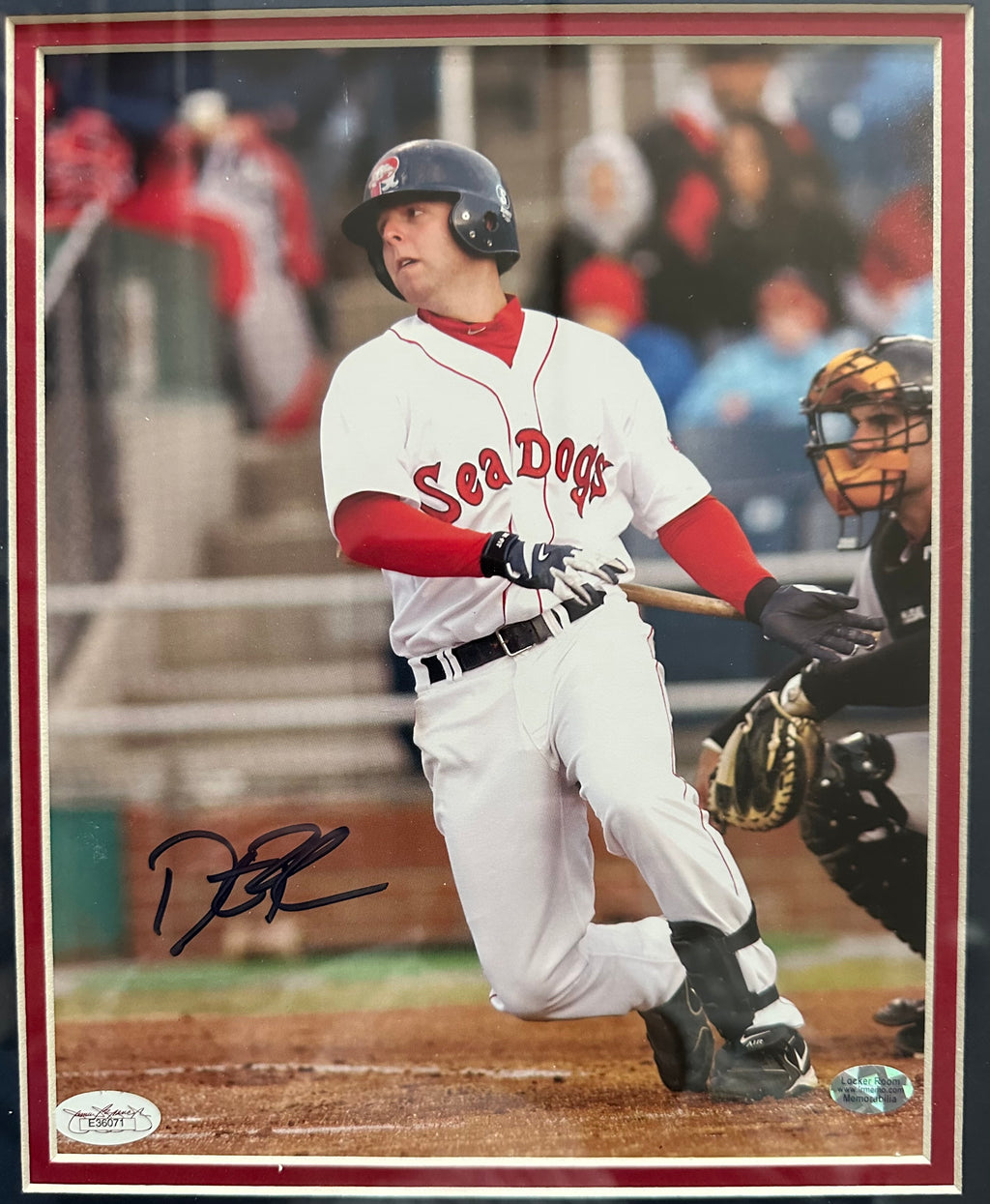 Portland Sea Dogs - Dustin Pedroia 8x10 Autographed Photo