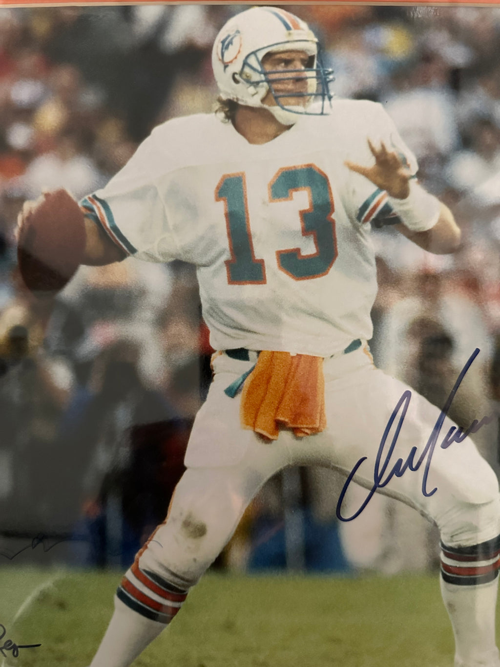 Miami Dolphins - Dan Marino Autographed 16 x 20