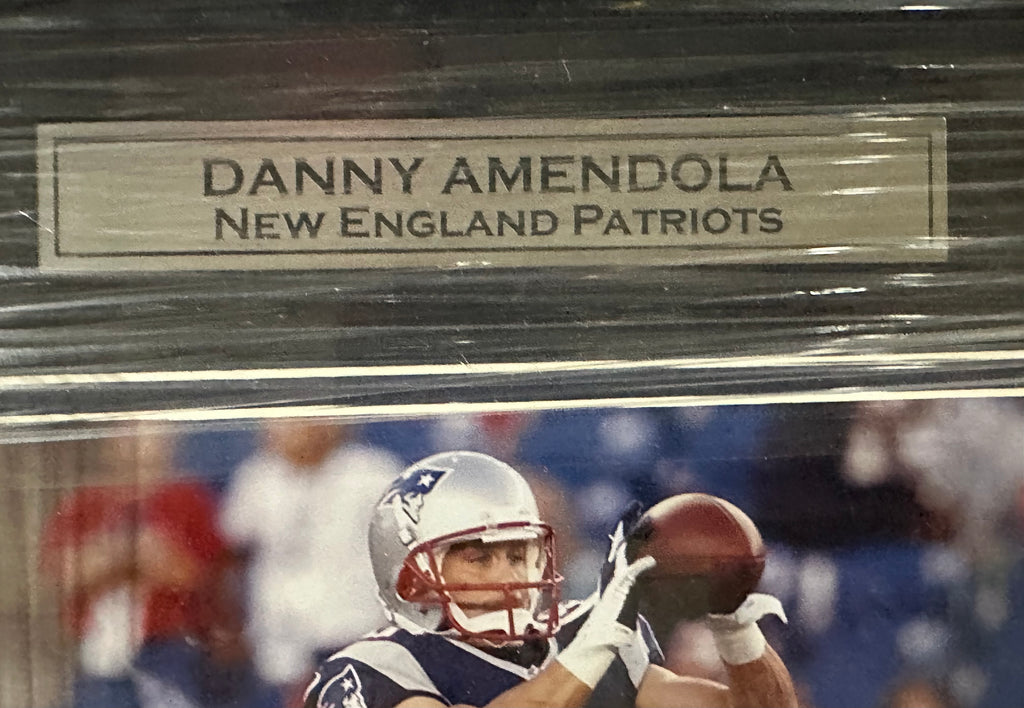 New England Patriots - Danny Amendola autohraphed 8x10 photo
