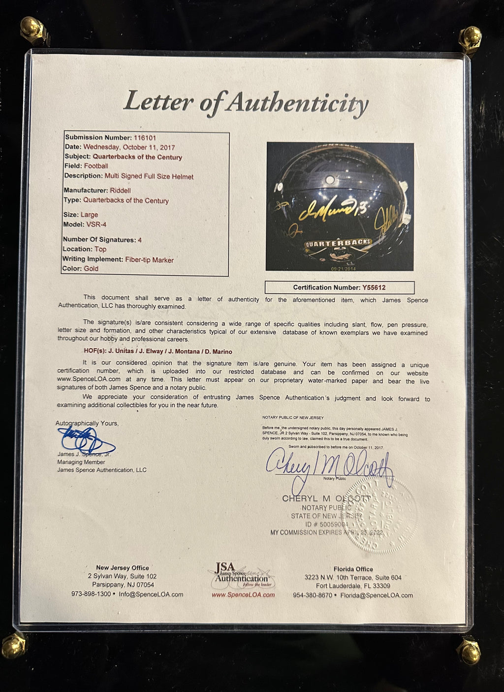 Quarterbacks of the Century Helmet (202 of 500)