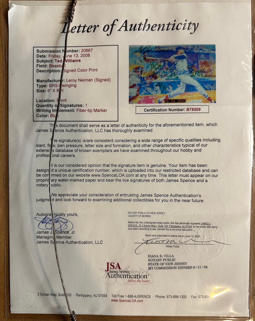 Leroy Neiman Ted Williams signed colored print