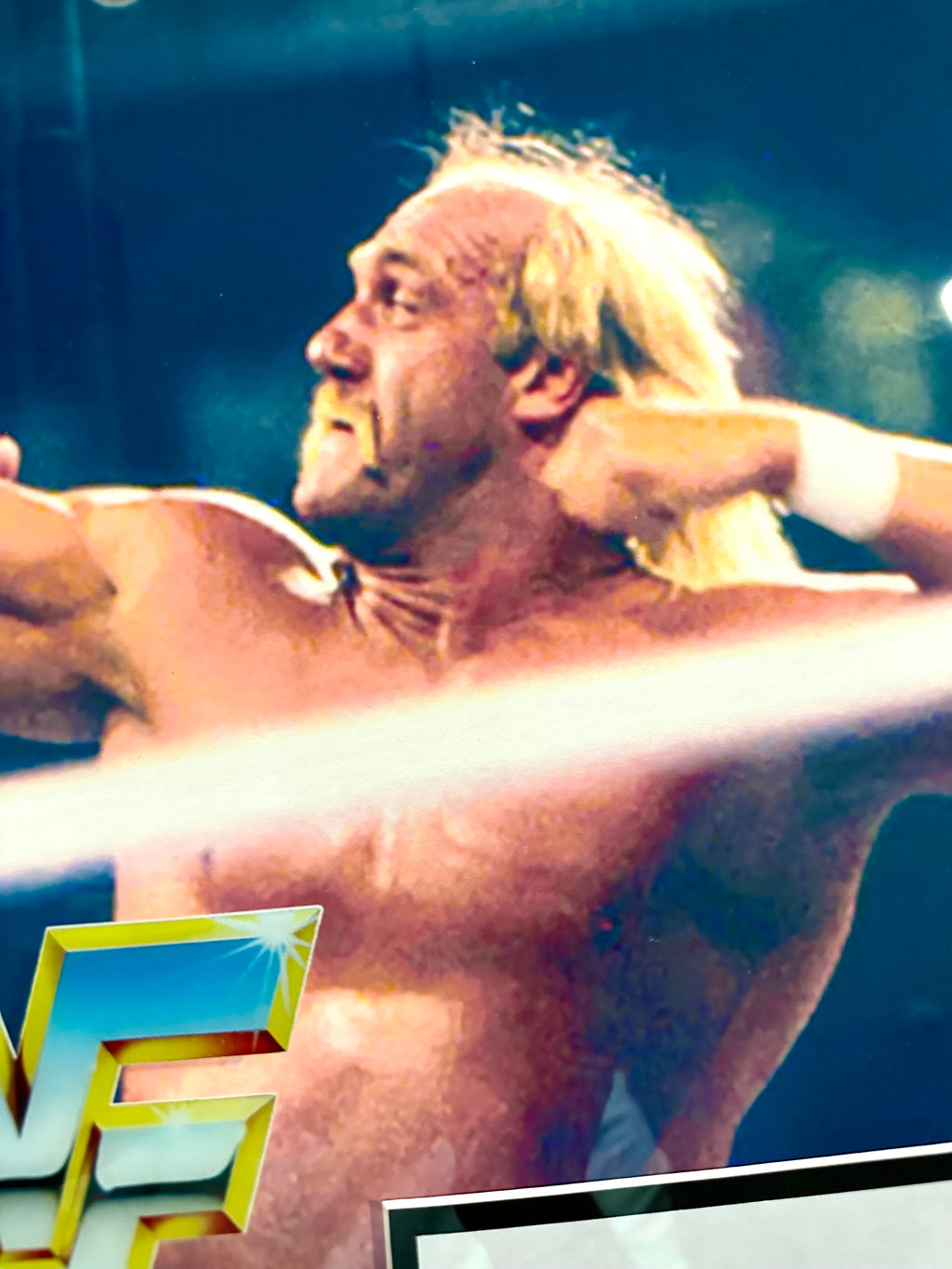 Hulk Hogan vs Andrea the Giant Video Memorabilia with autograph no