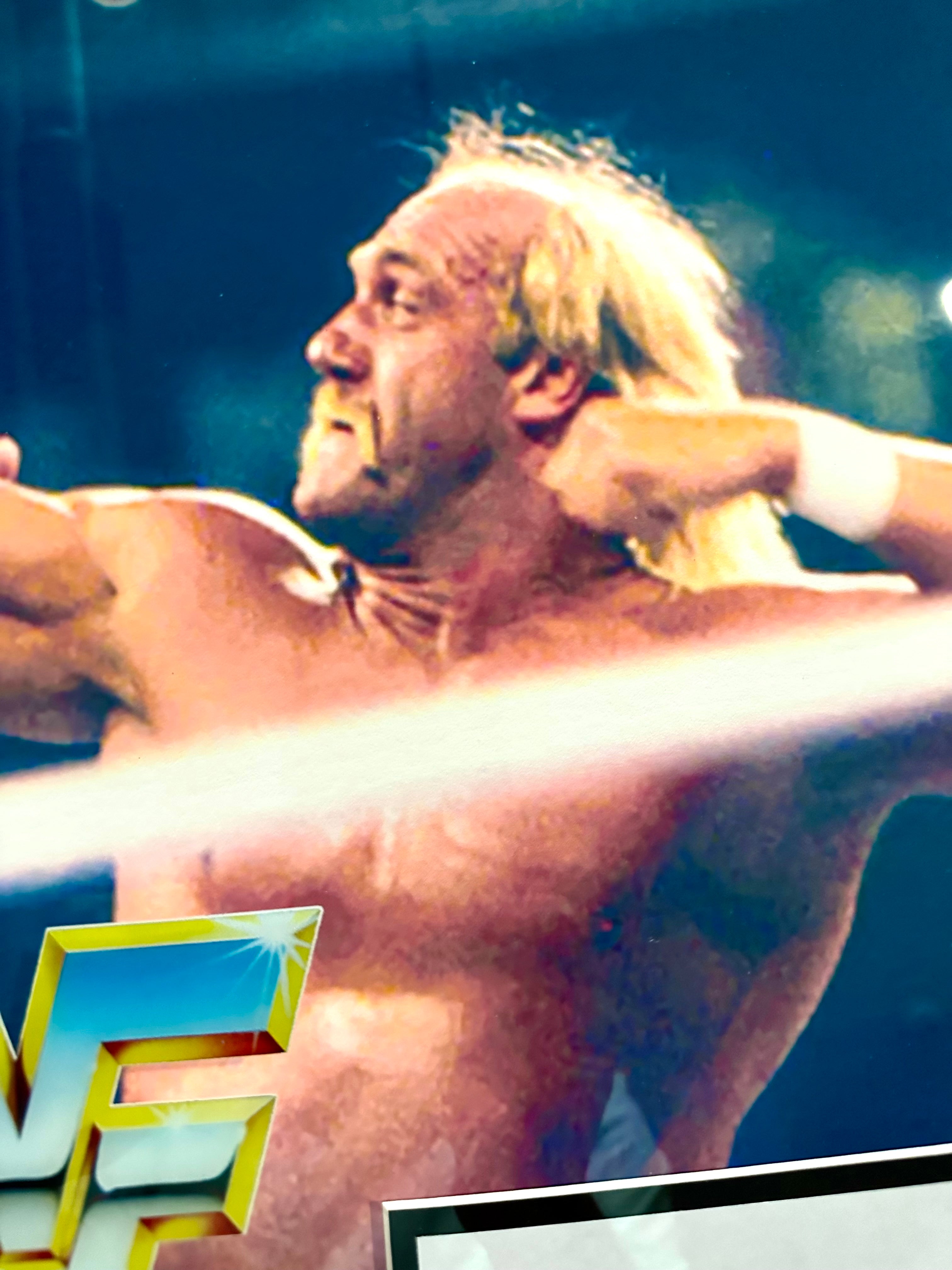 Hulk Hogan vs Andrea the Giant Video Memorabilia with autograph no