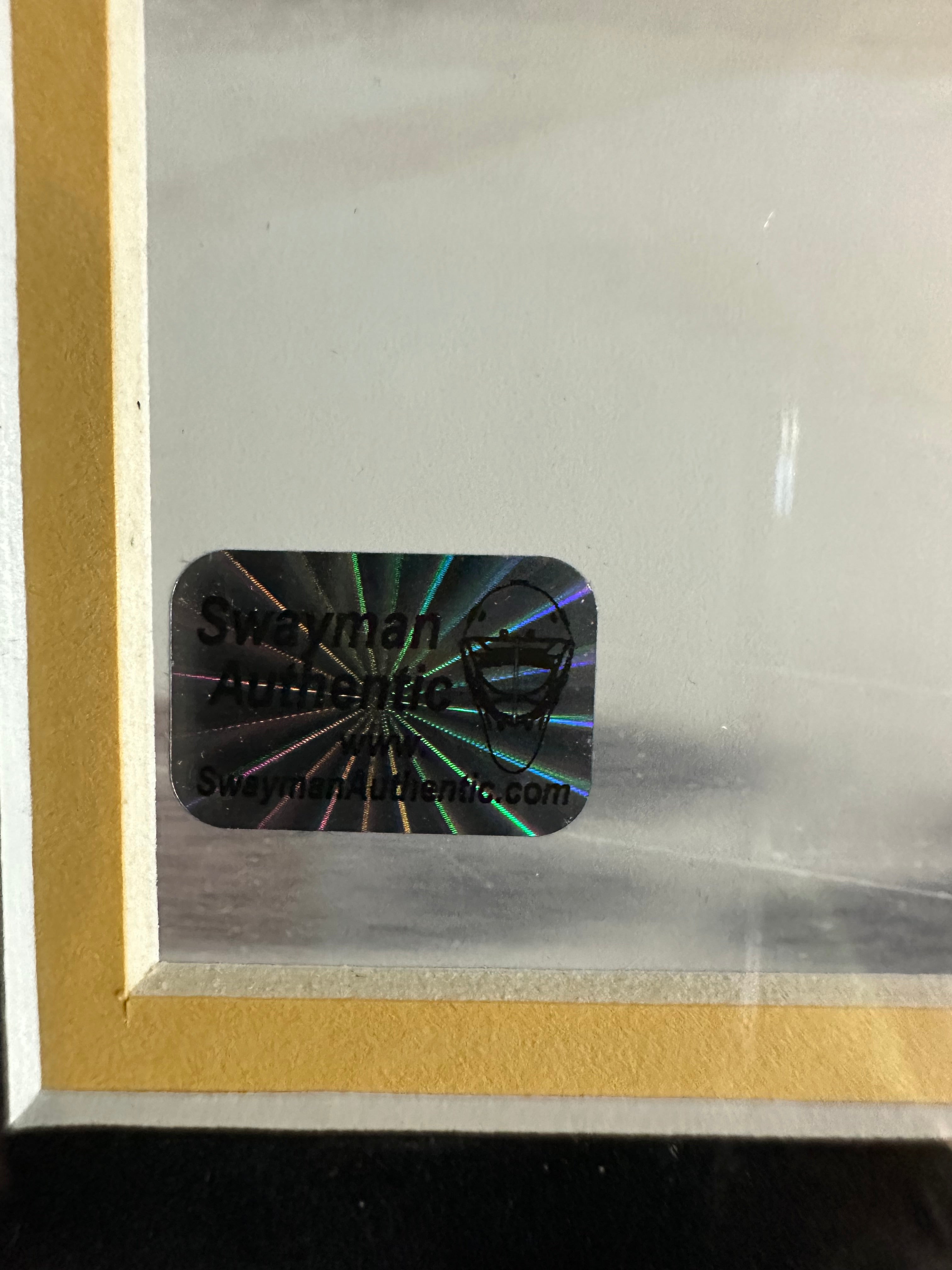 Jeremy Swayman Boston Bruins Goaltender