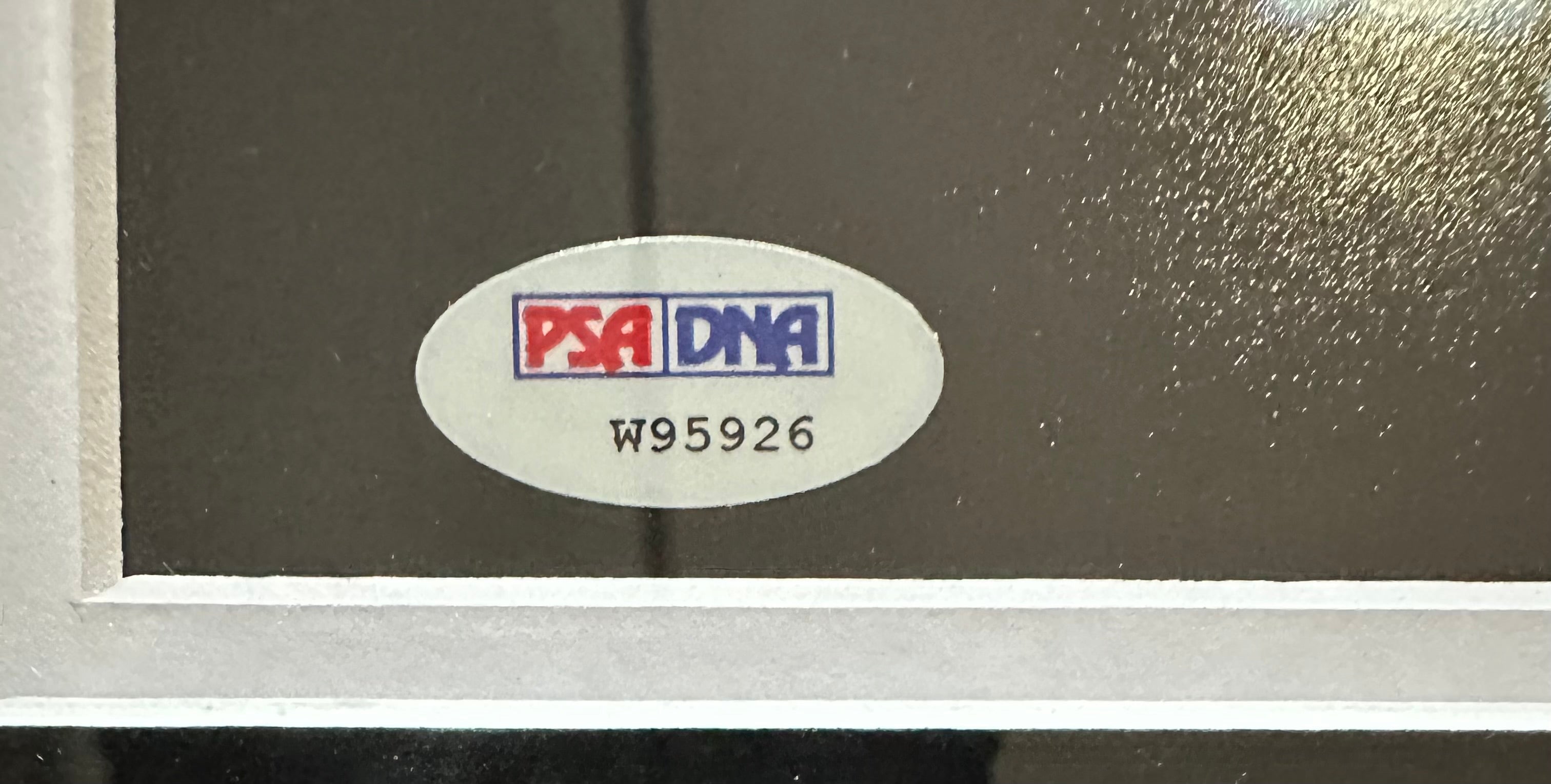 Aerosmith - Steven Tyler at Piano Autographed