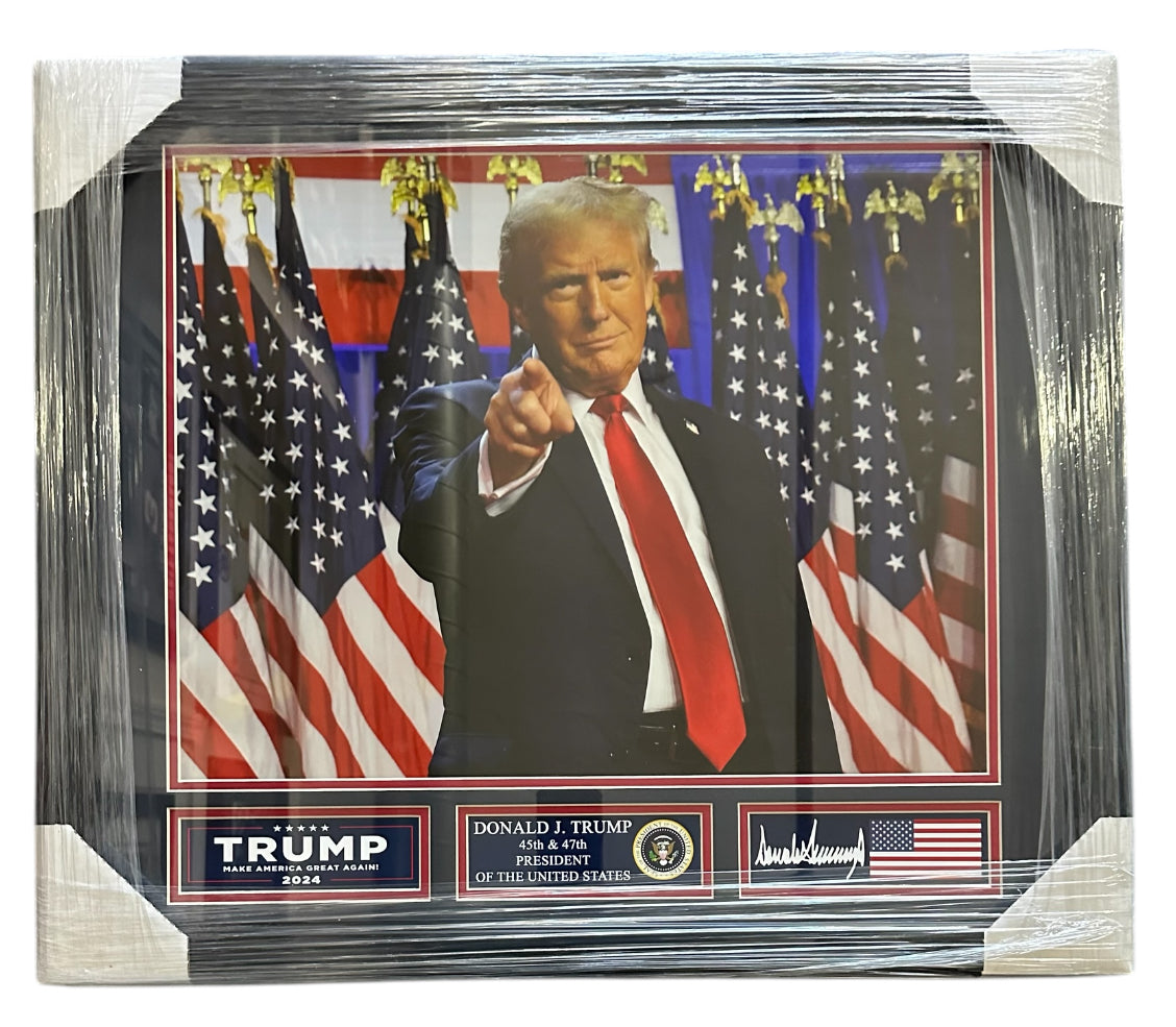 Donald Trump Pointing in front of American Flags