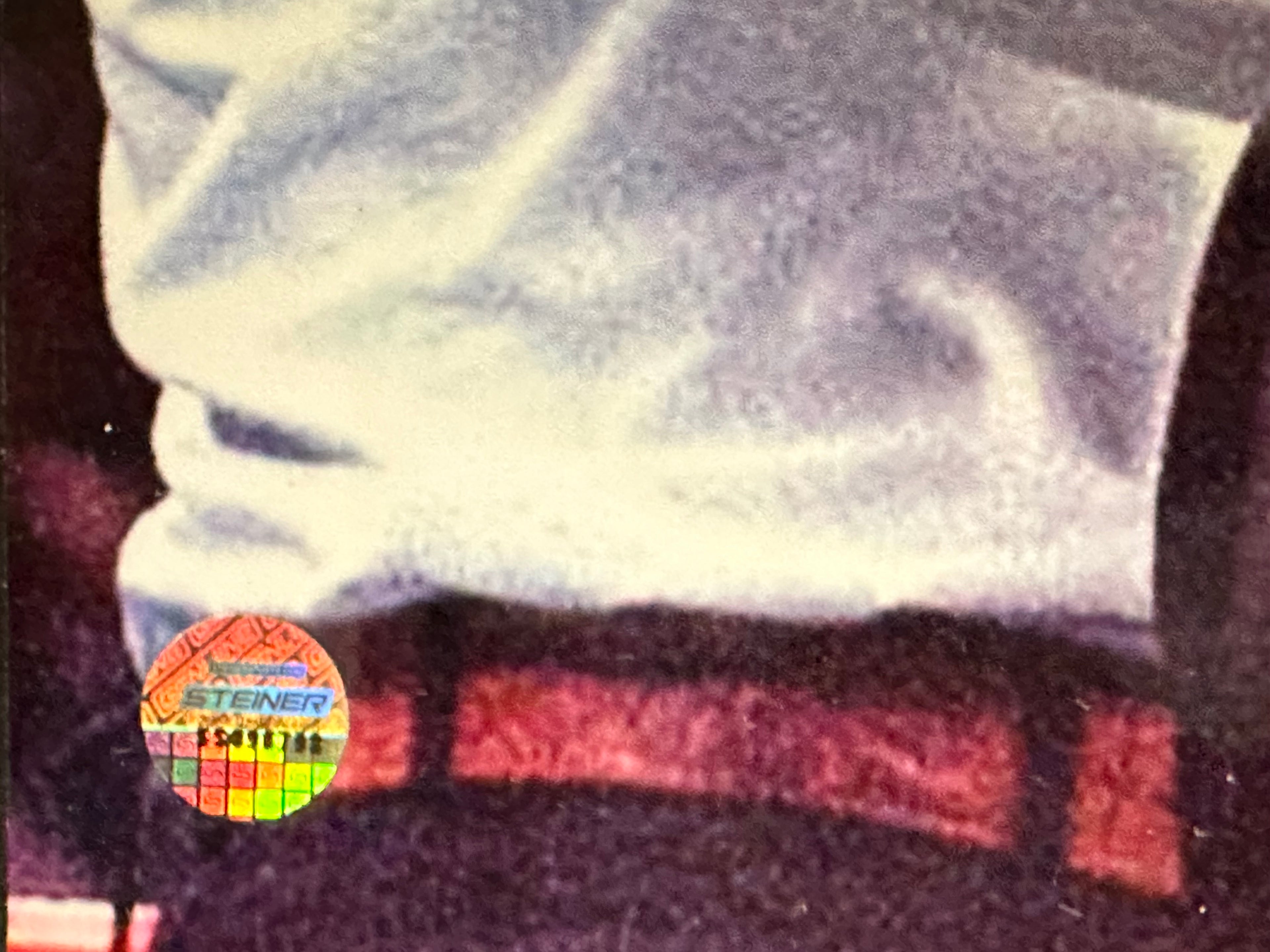 Boxing Heavyweight Champions - Tyson & Holyfield Autographed Collage