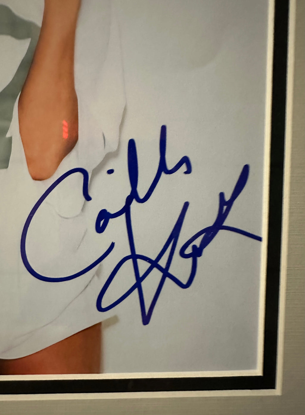 Camille Kostek (SI Model) Autographed 8x10 Photo