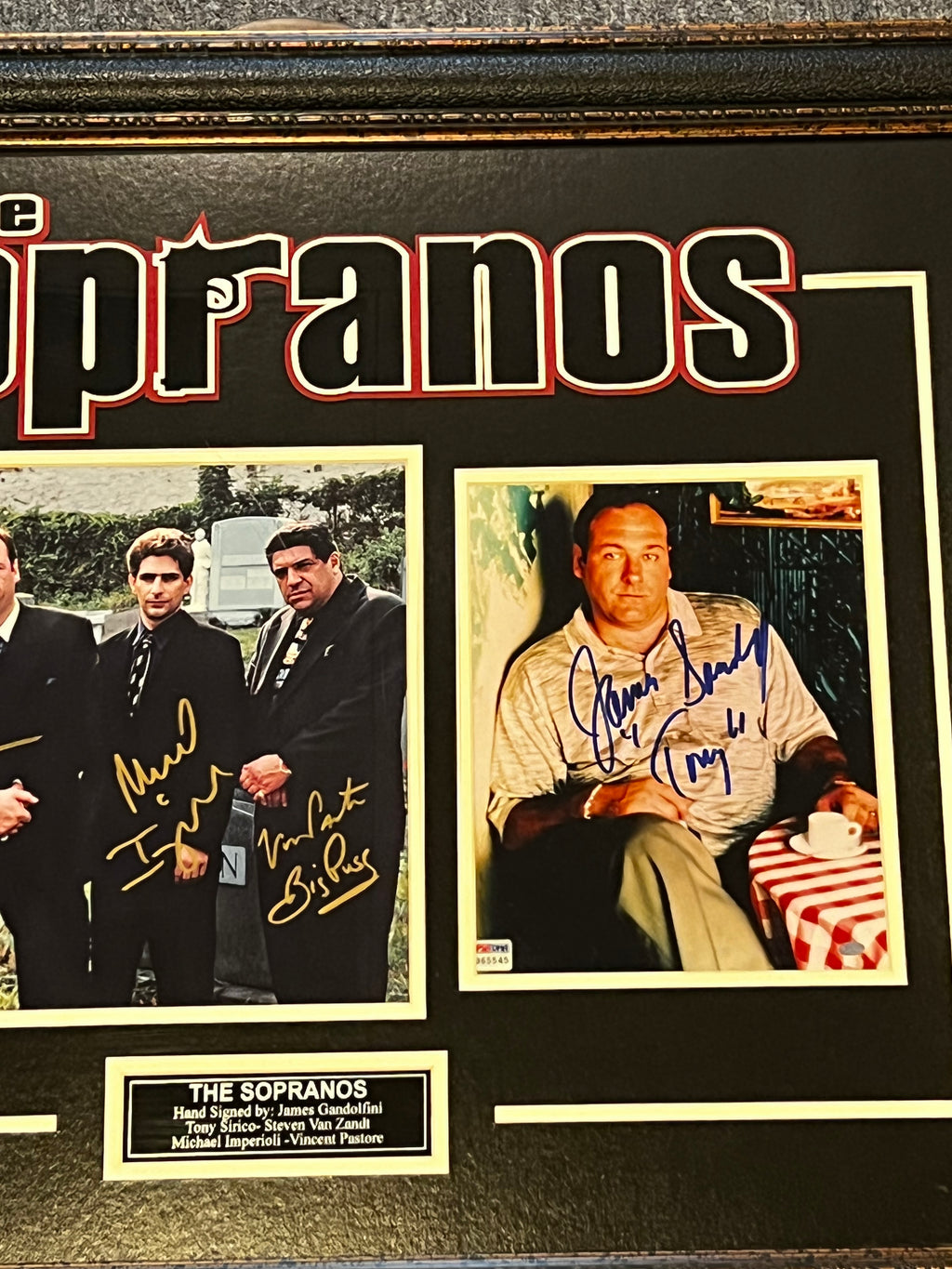 The Sopranos  - Male Cast Signed