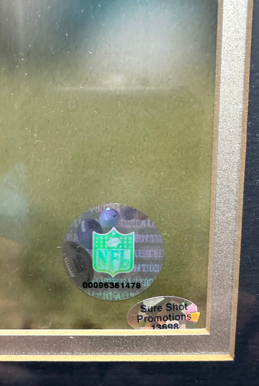 New England Patriots - Doug Flutie Autographed 16 x 20