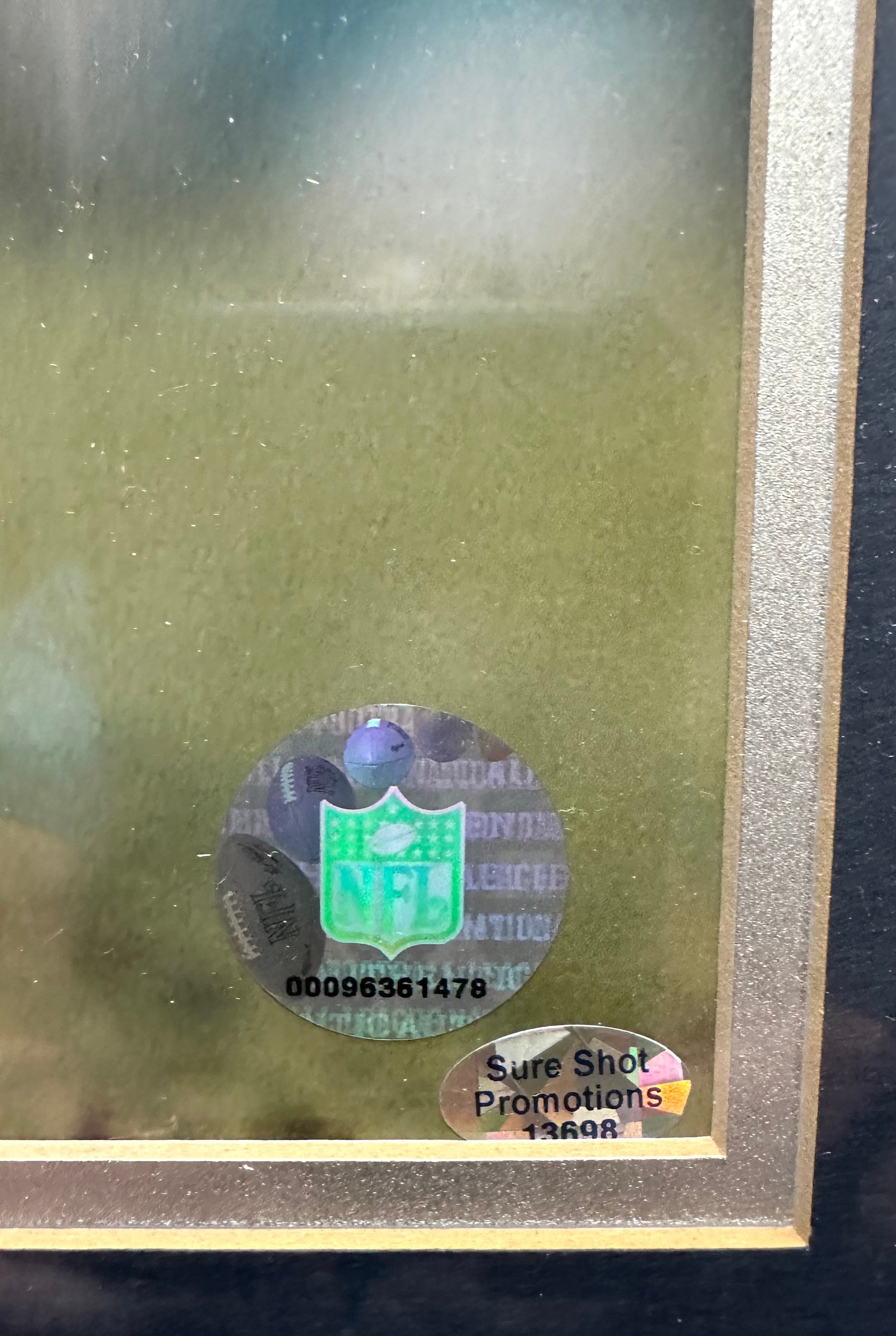 New England Patriots - Doug Flutie Autographed 16 x 20