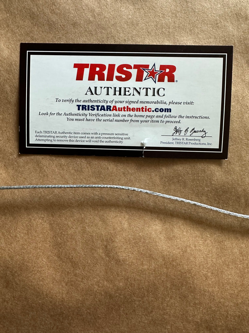 Tom Brady Autographed 8 x 10 photo