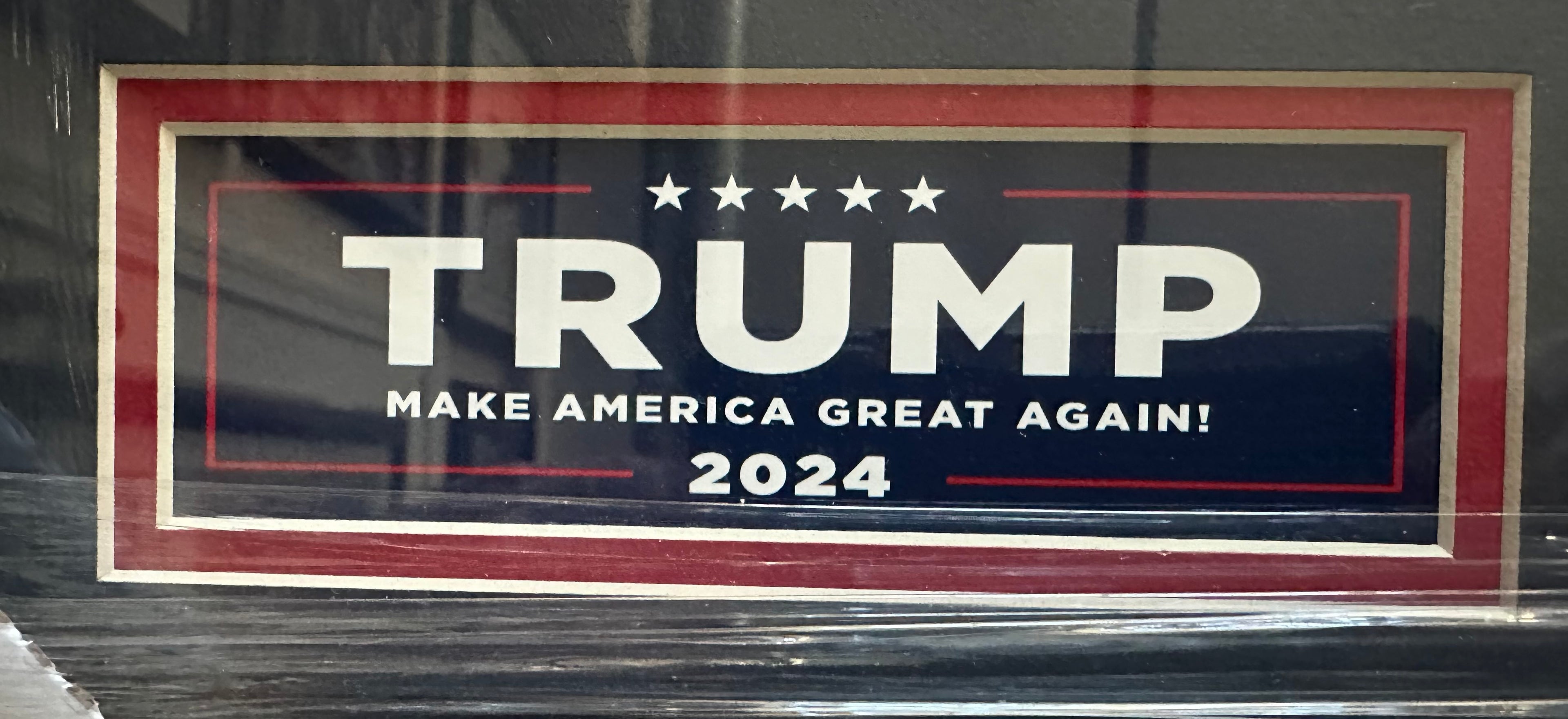 Donald Trump Pointing in front of American Flags