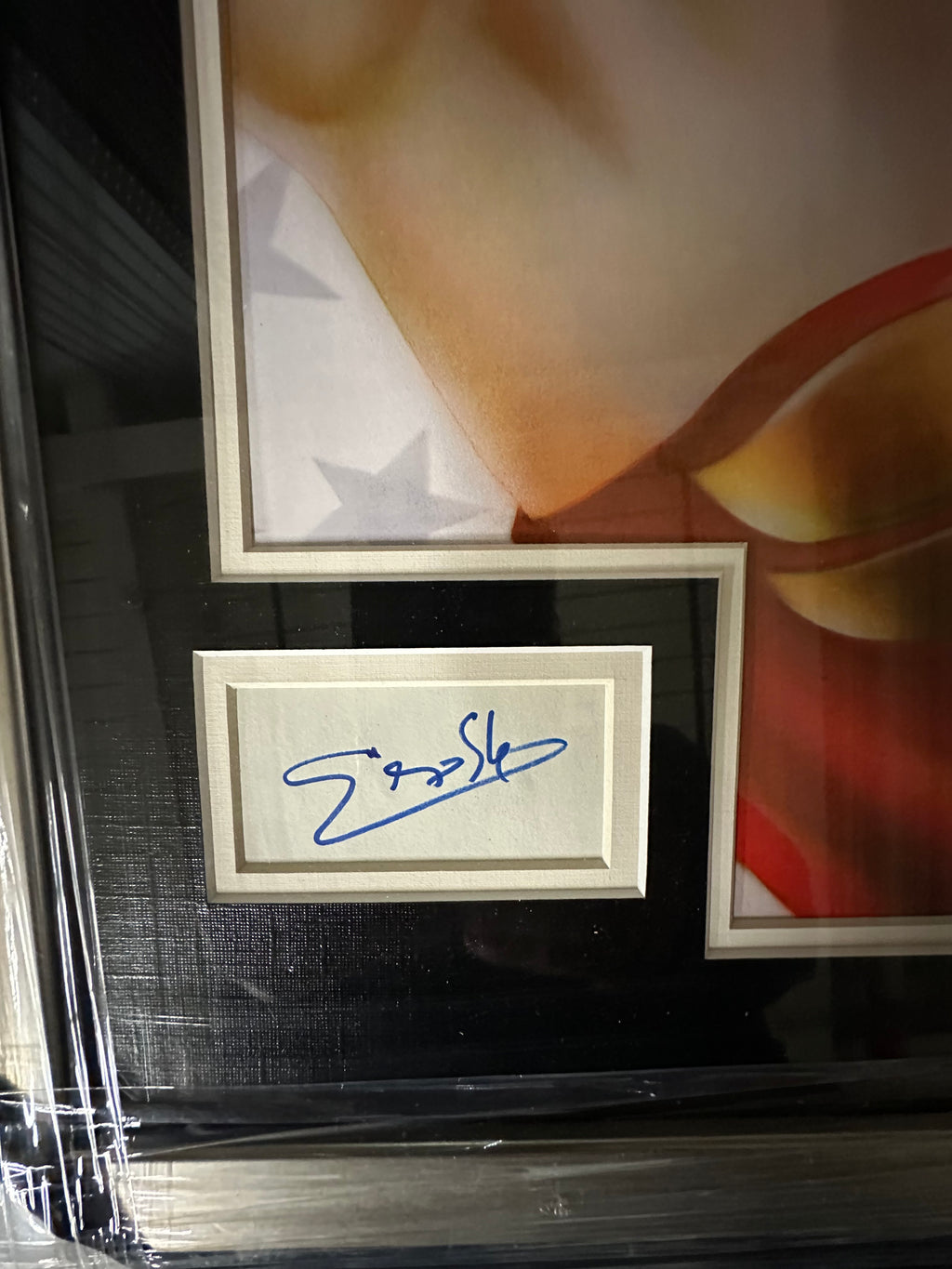 Wonder Woman autographed Gal Gadot cut