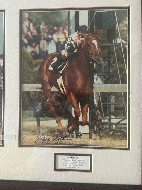 Triple Crown Winners - Secretariat, Citation, Affirmed & Seattle Slewl