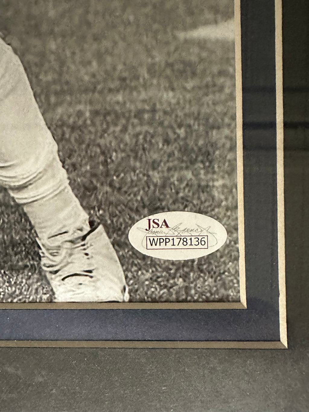 New England Patriots - Josh Gordan Autographed 16 x 20