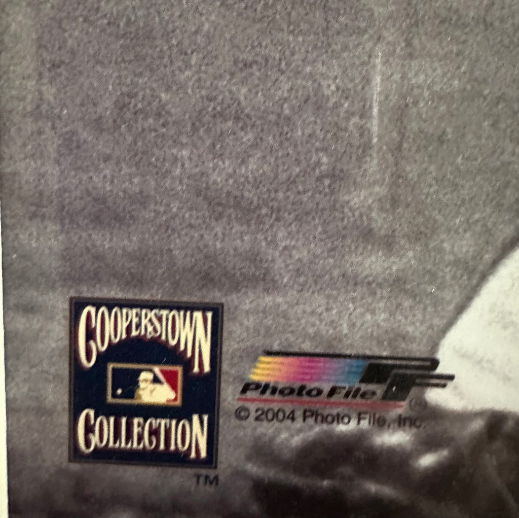 Boston Red Sox - Carlton Fisk 1975 World Series Game 6 "Stay Fair" Homer