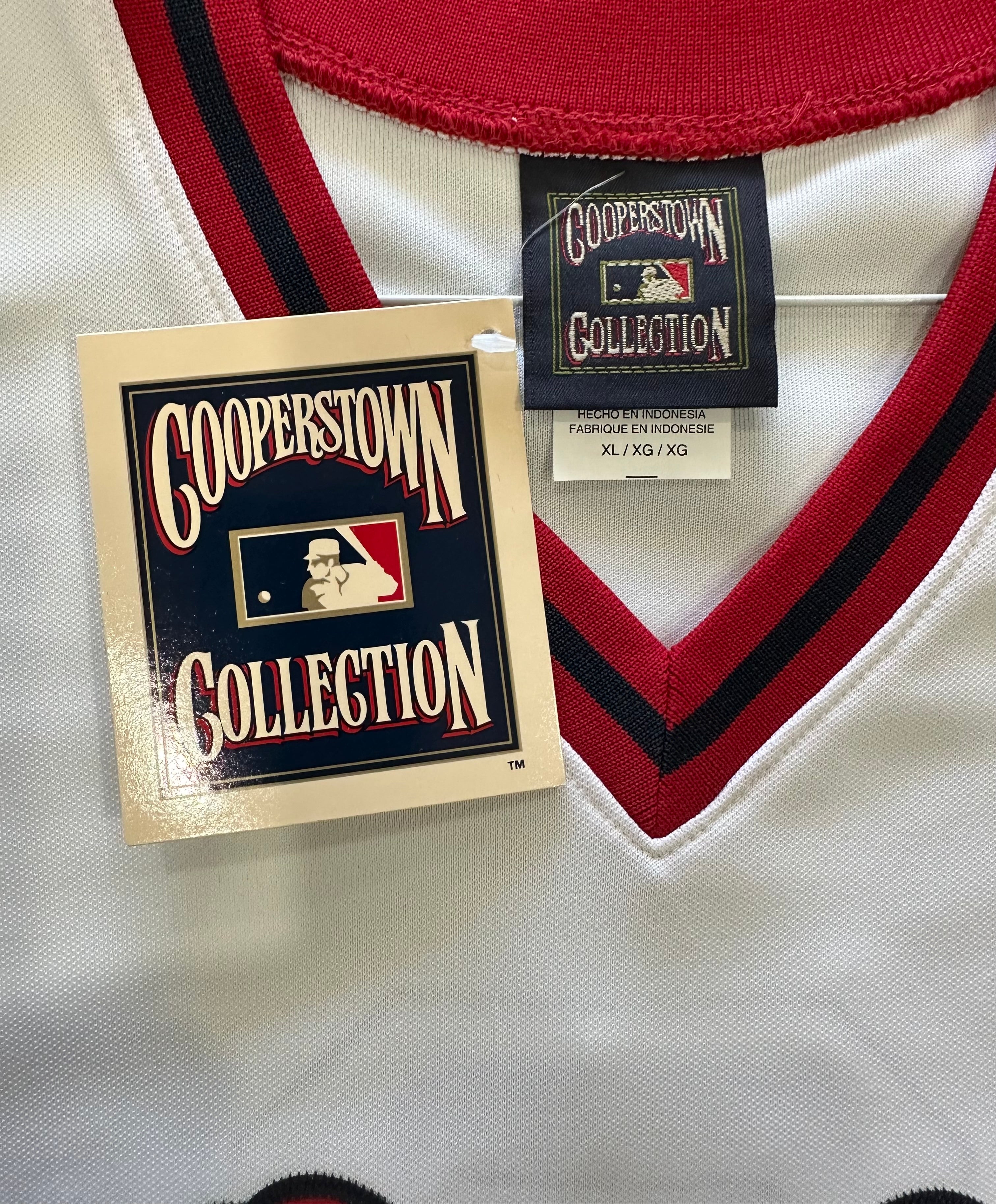 Boston Red Sox - Carl Yastrzemski autographed MLB Jersey