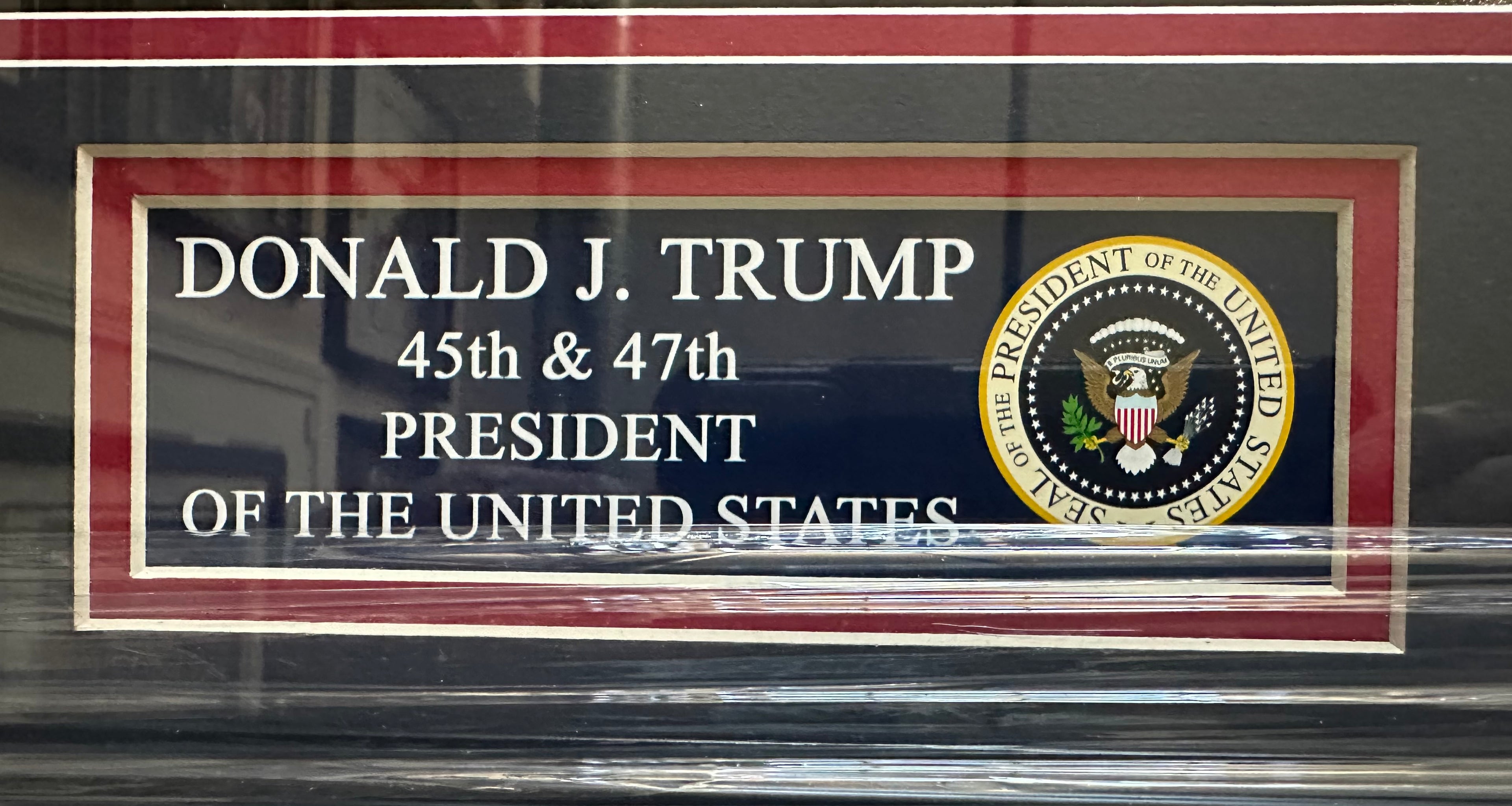 Donald Trump Pointing in front of American Flags