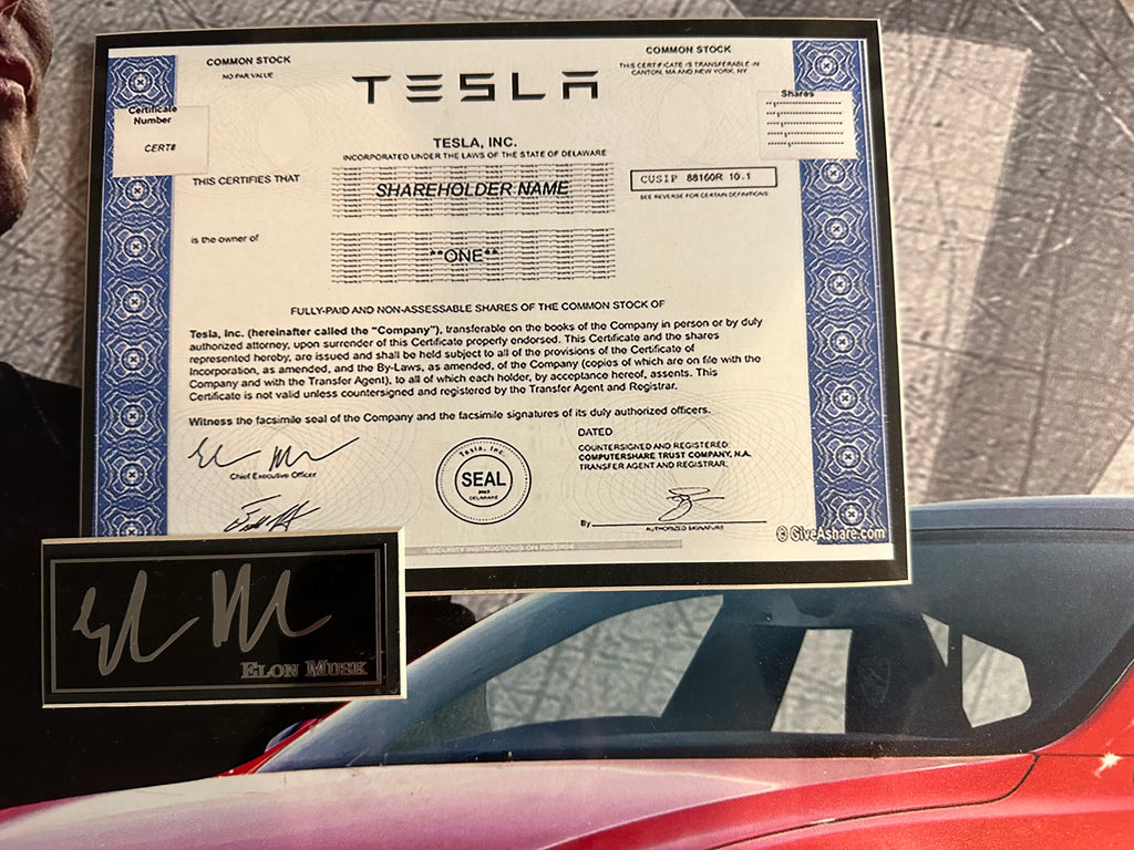 Elon Musk Tesla (Facsimile)