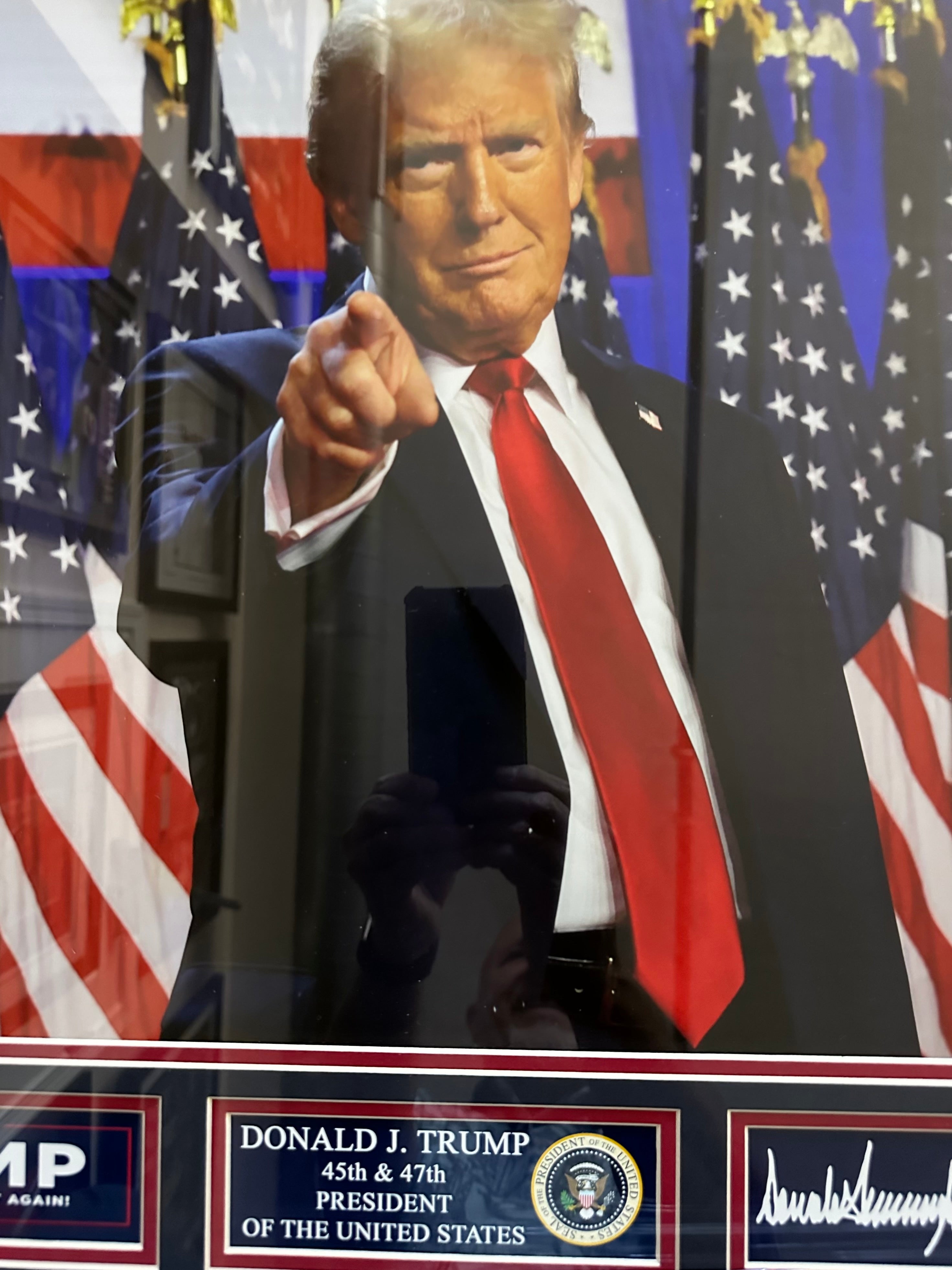 Donald Trump Pointing in front of American Flags