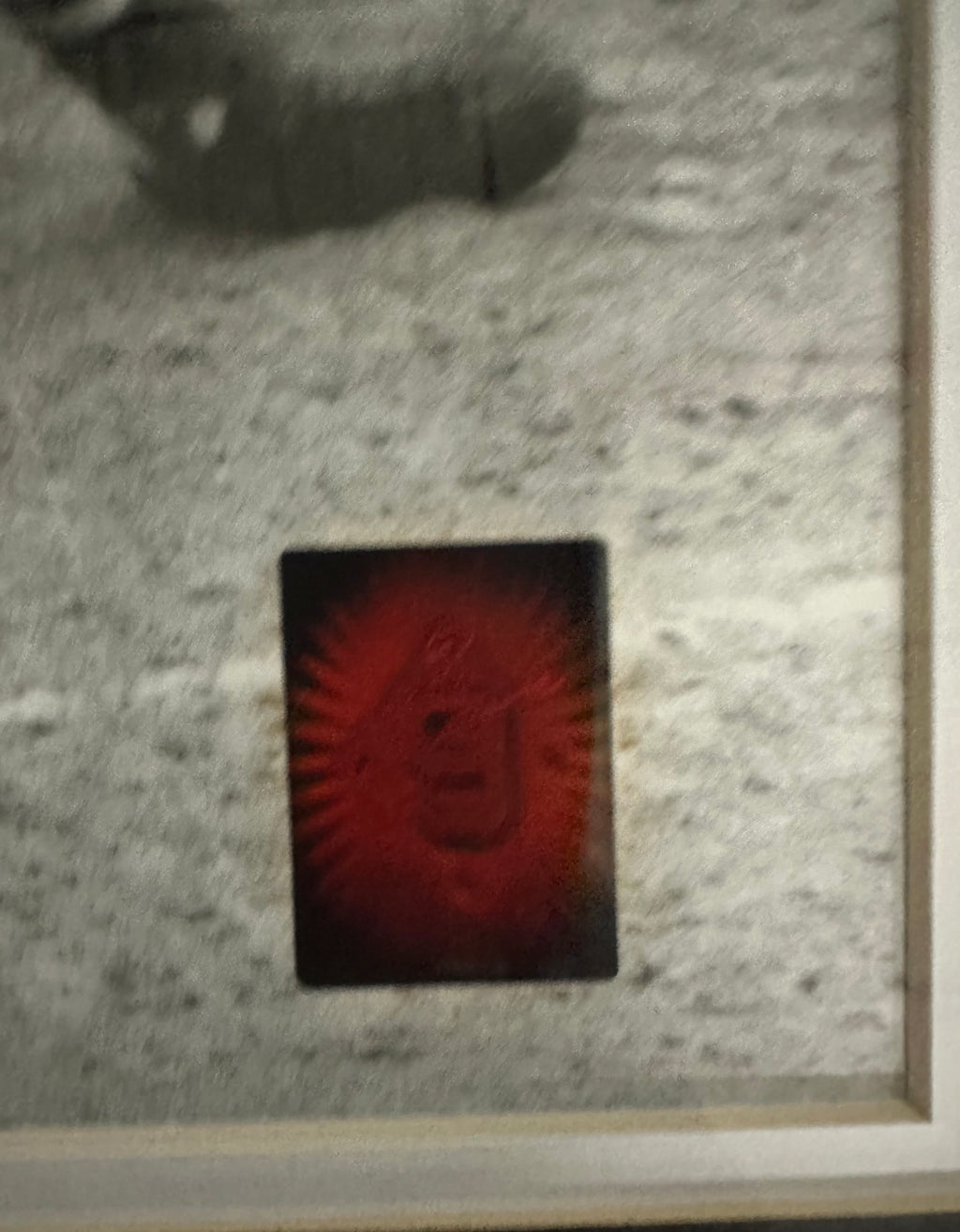 Boston Red Sox - Ted Williams 16x20 Autographed Photo