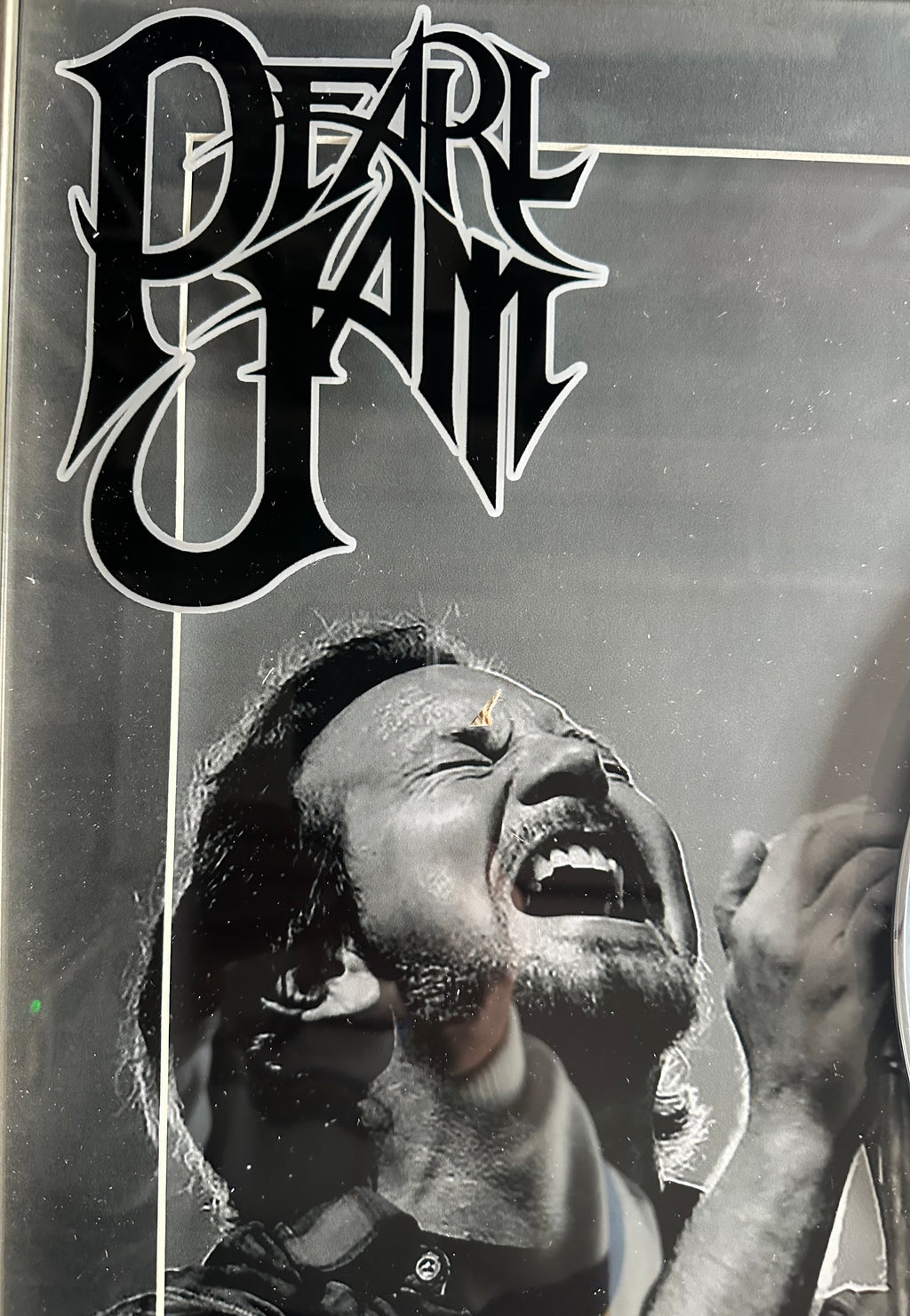 Pearl Jam Platinum Album