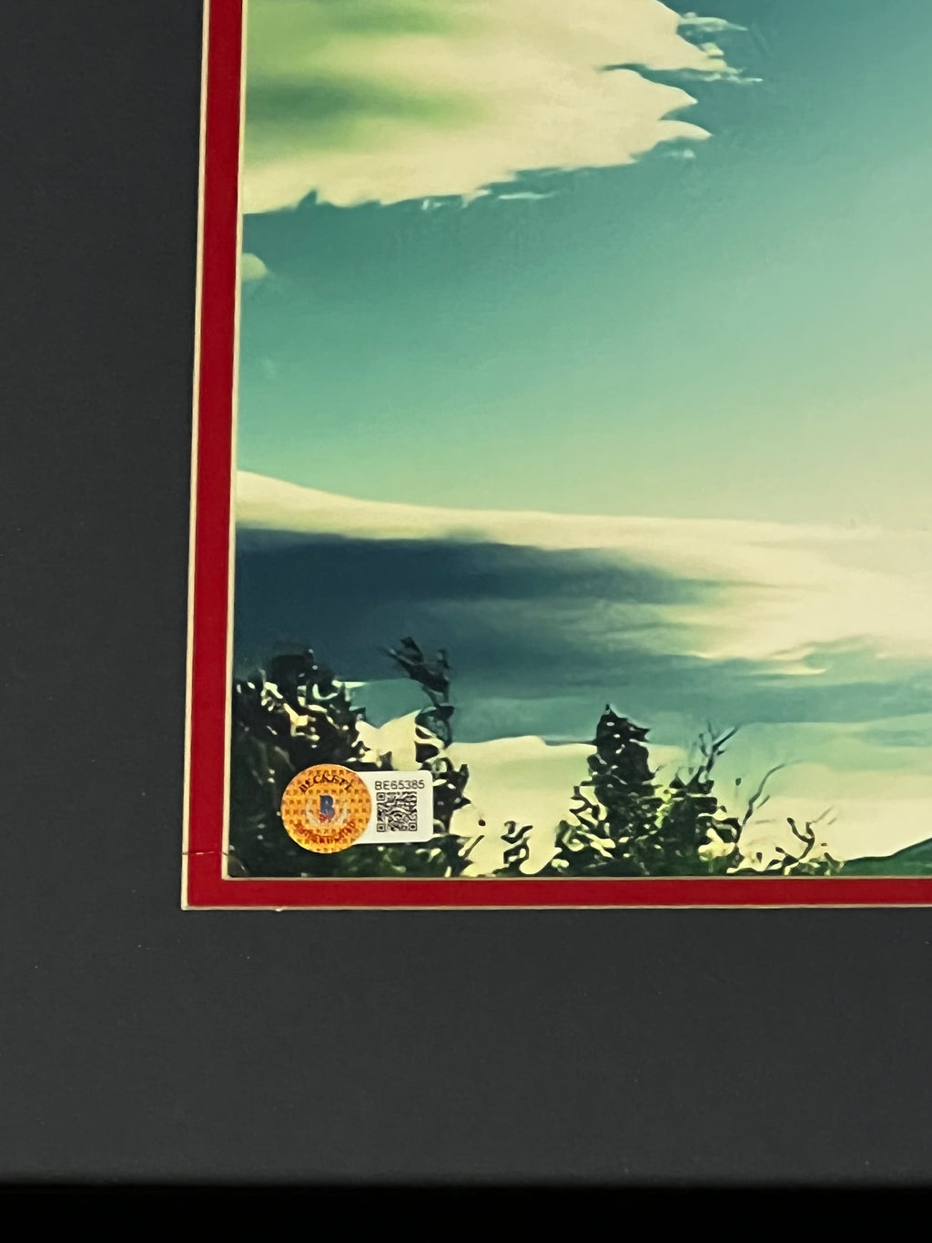 Boston Red Sox - David Ortiz Cooperstown