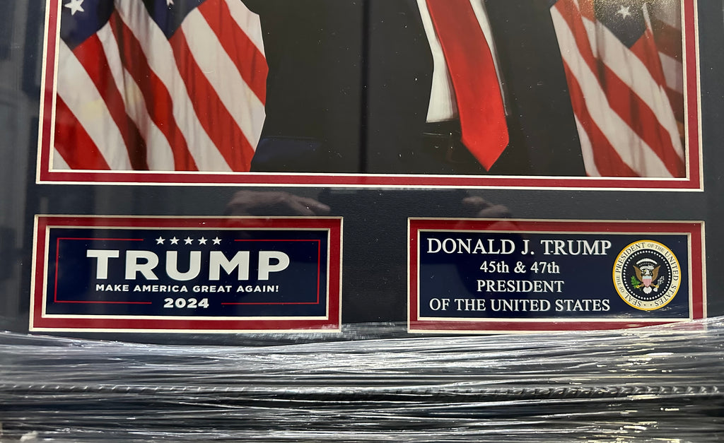 Donald Trump Pointing in front of American Flags