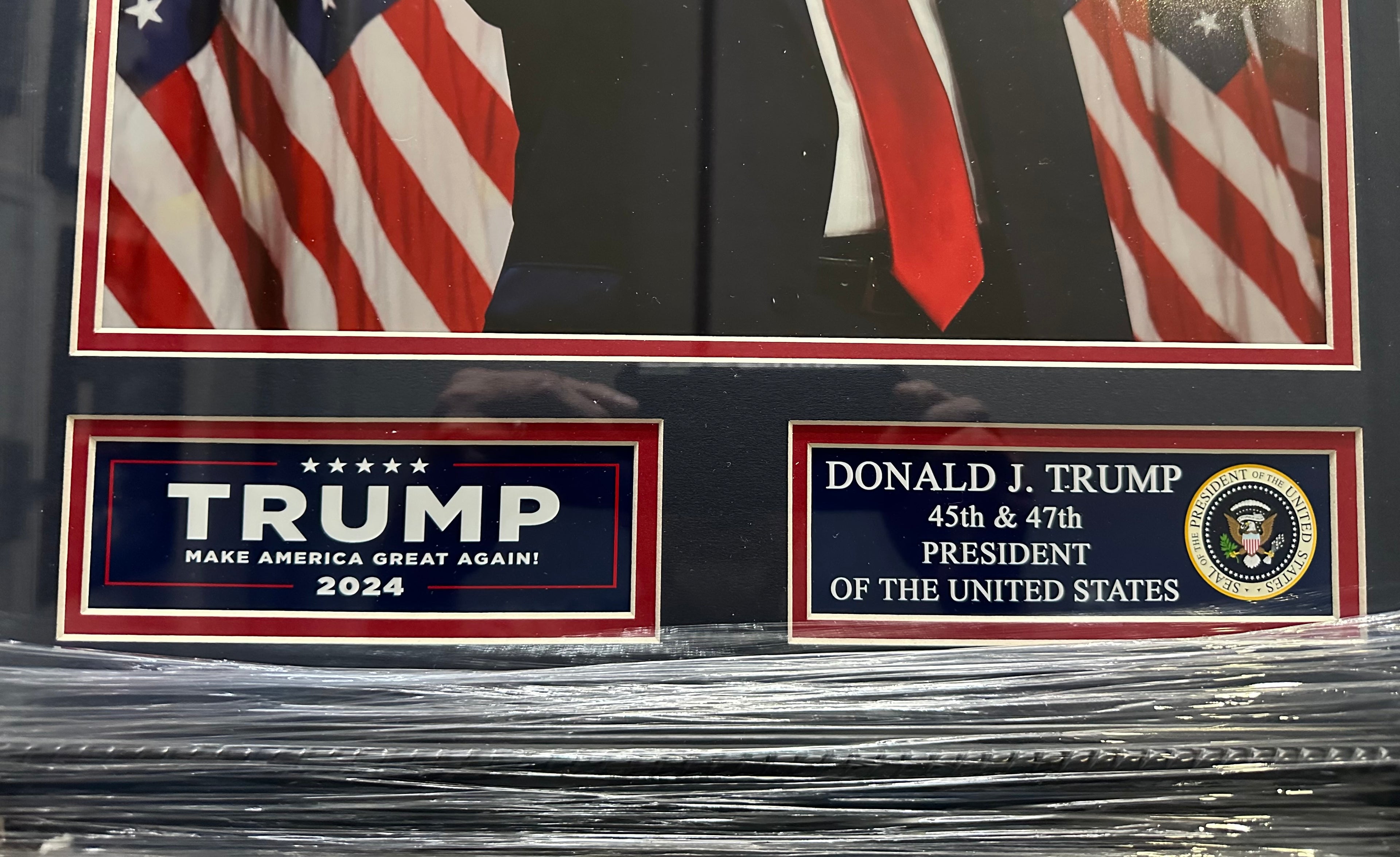Donald Trump Pointing in front of American Flags