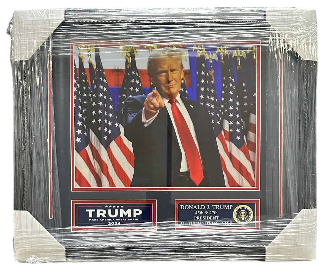 Donald Trump Pointing in front of American Flags