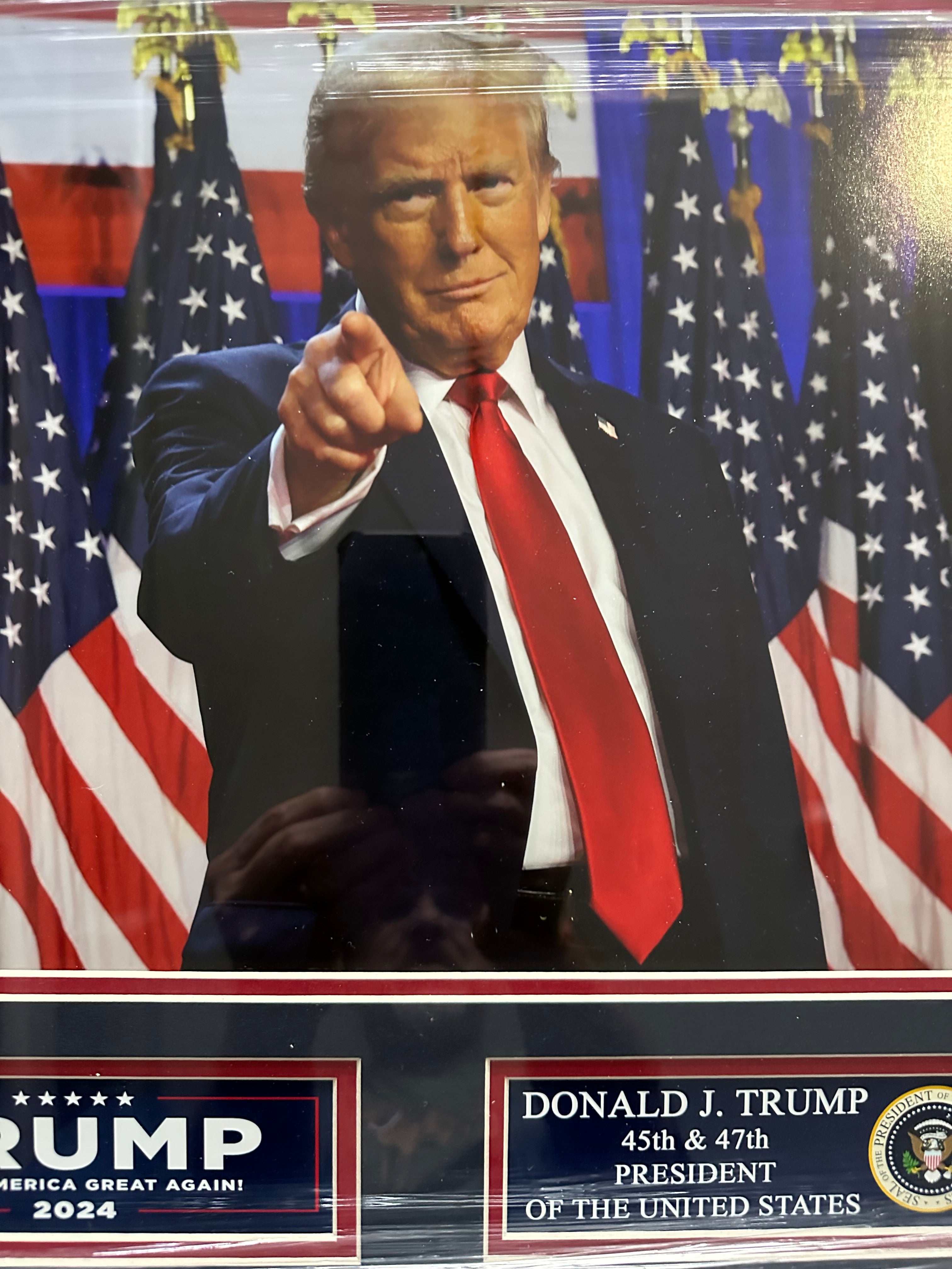 Donald Trump Pointing in front of American Flags