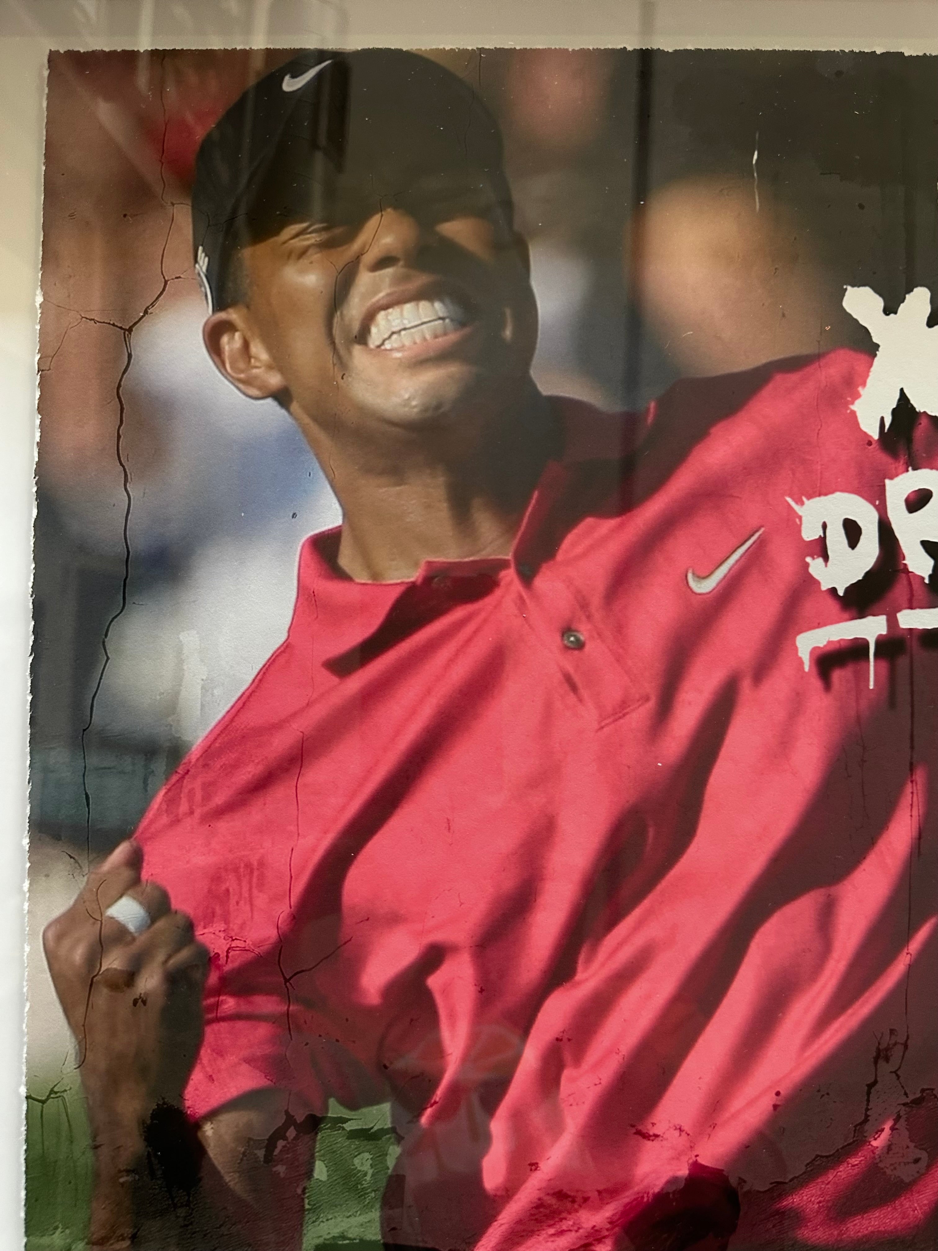 Tiger Woods - Follow Your Dreams