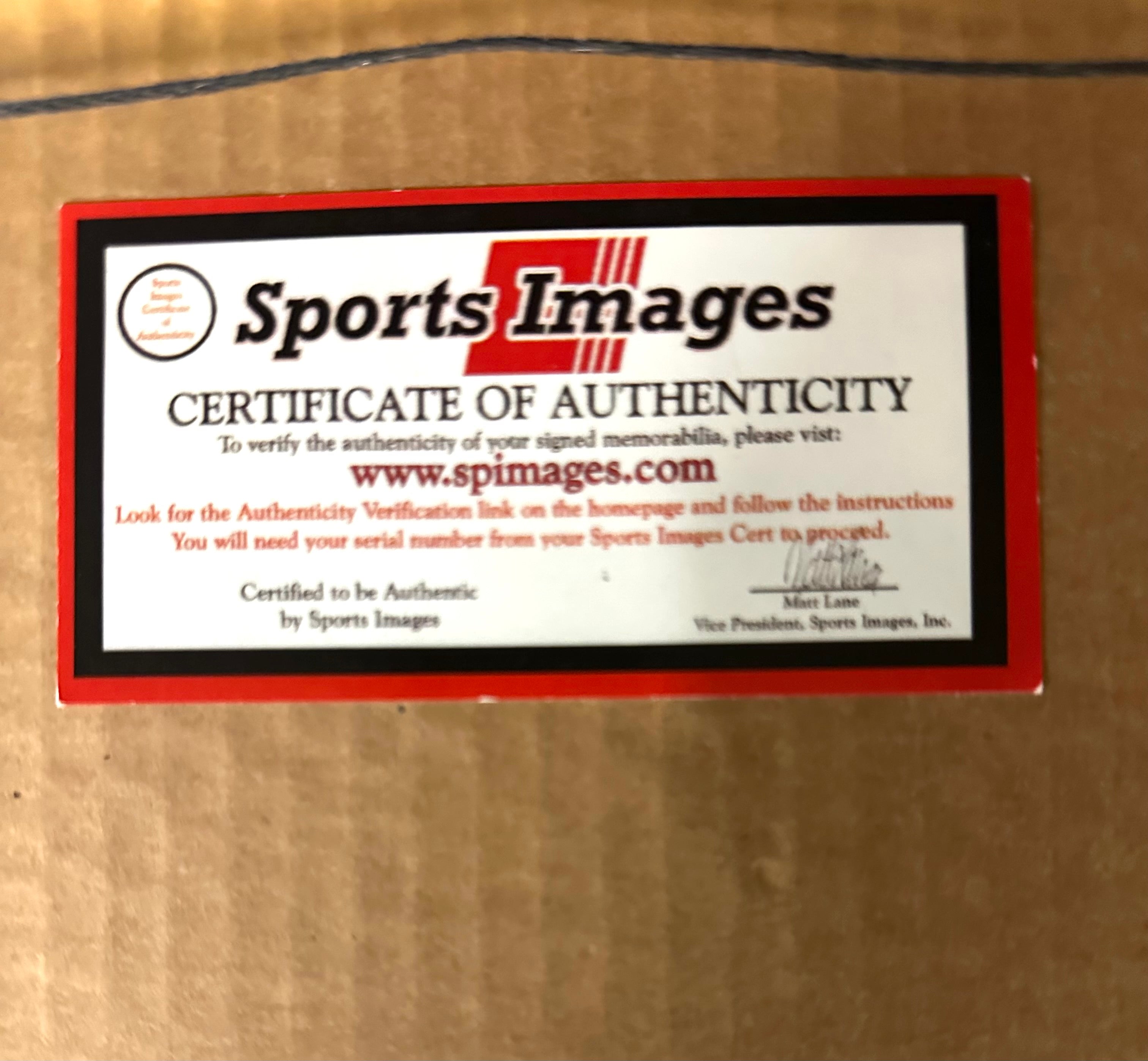 Boston Red Sox - Ted Willams autographed Pennant with picture of Armed Forces ID