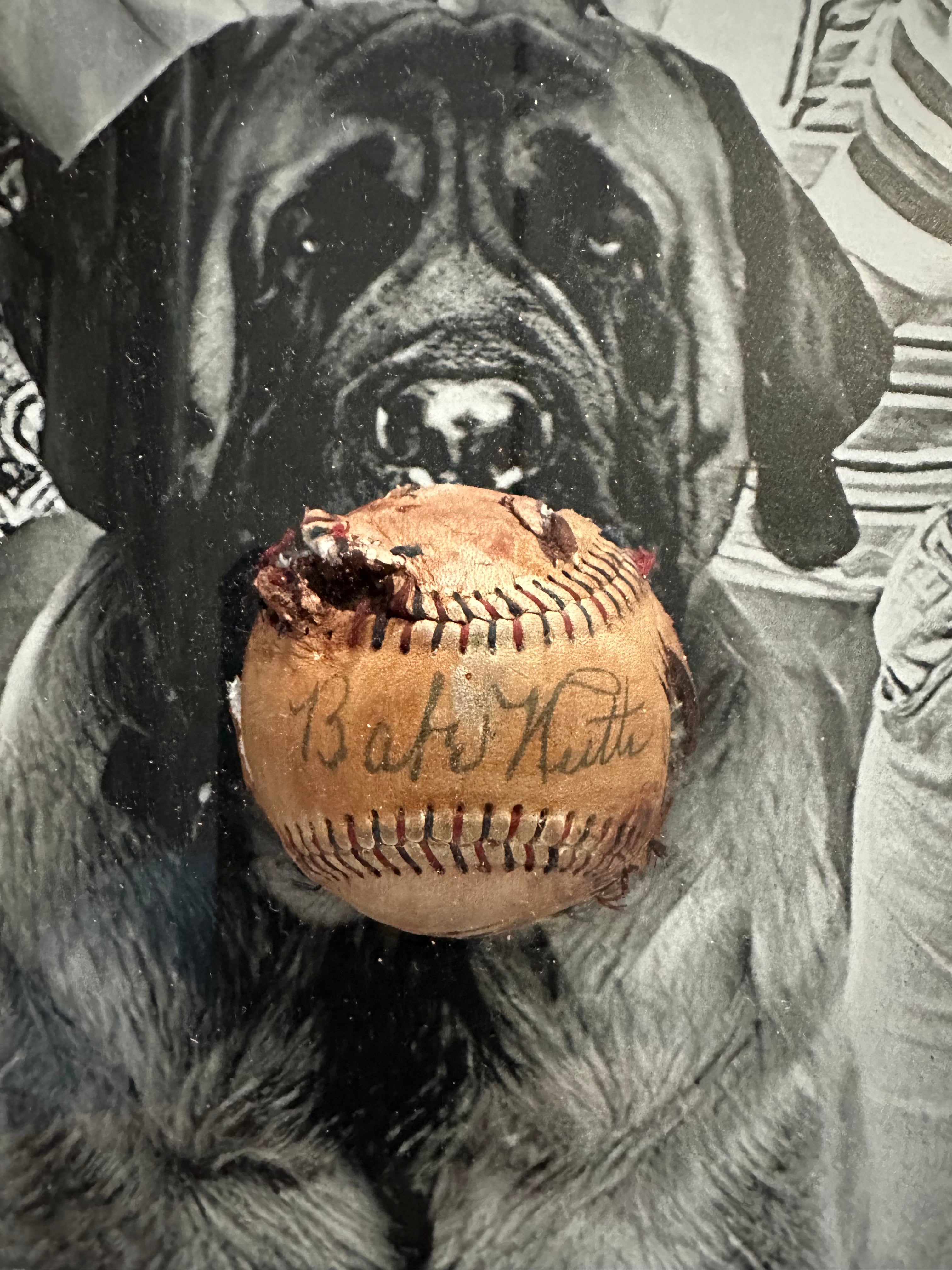 The Sandlot - Hercules (aka "The Beast") and replica Babe Ruth Chewed baseball