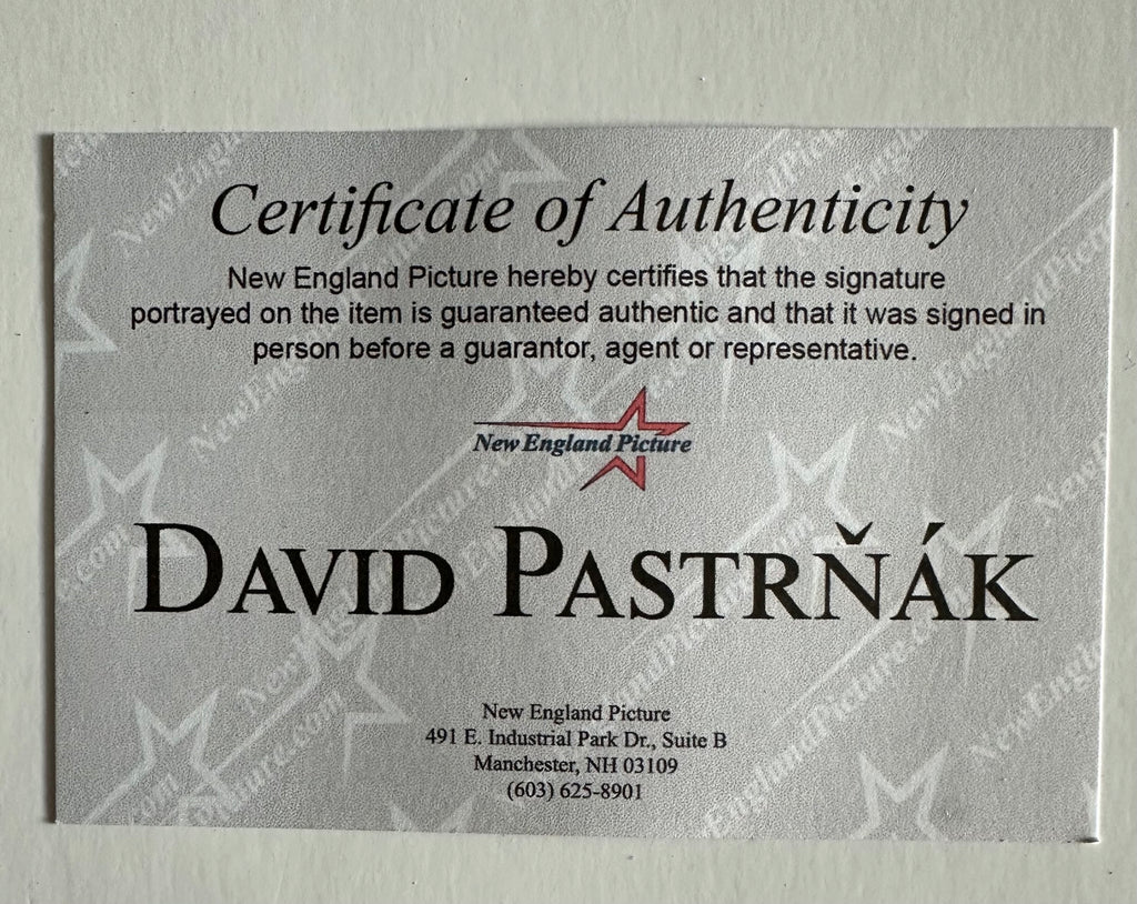 Boston Bruins Dave Pastrnak 50th Goal Autographed