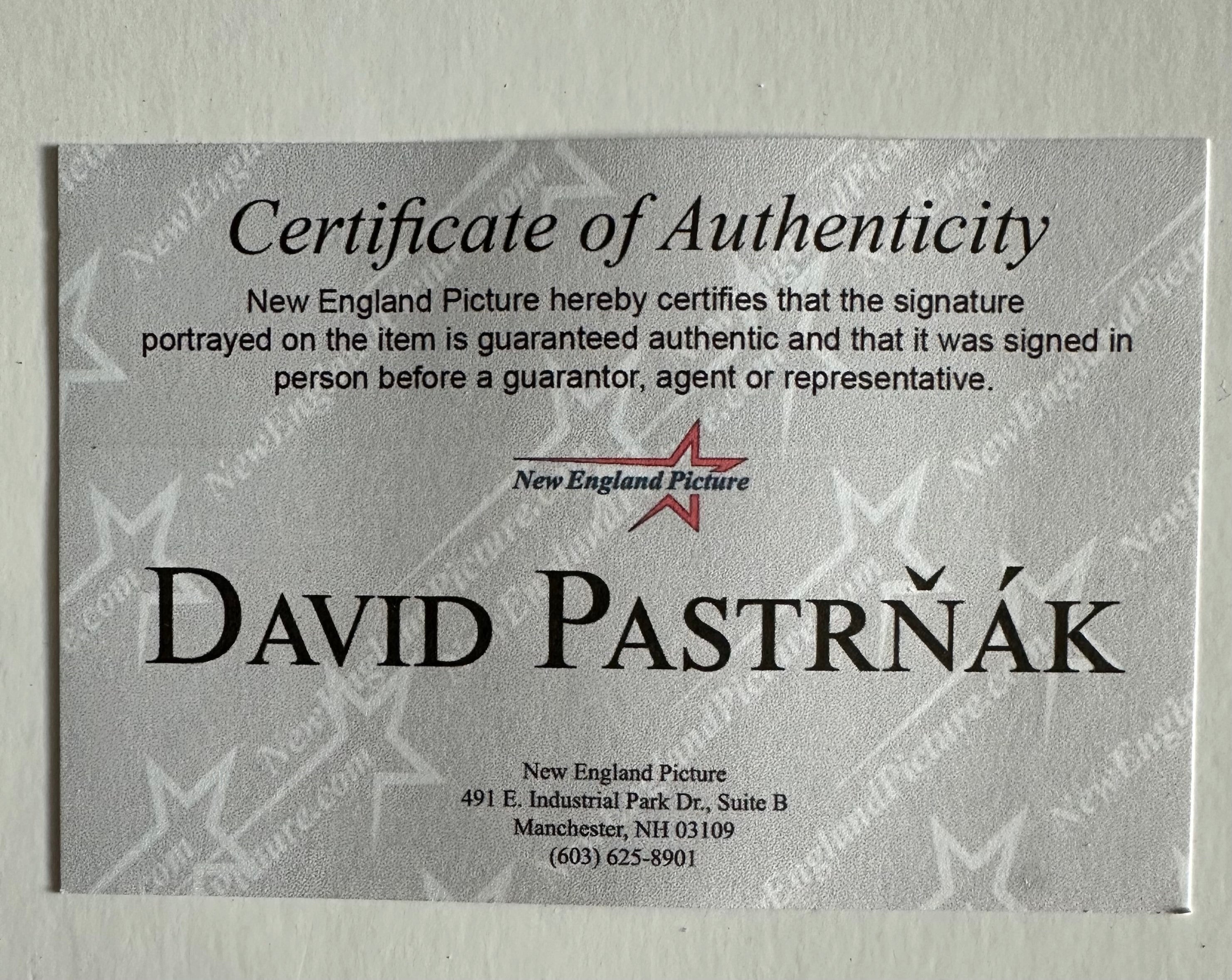 Boston Bruins Dave Pastrnak 50th Goal Autographed