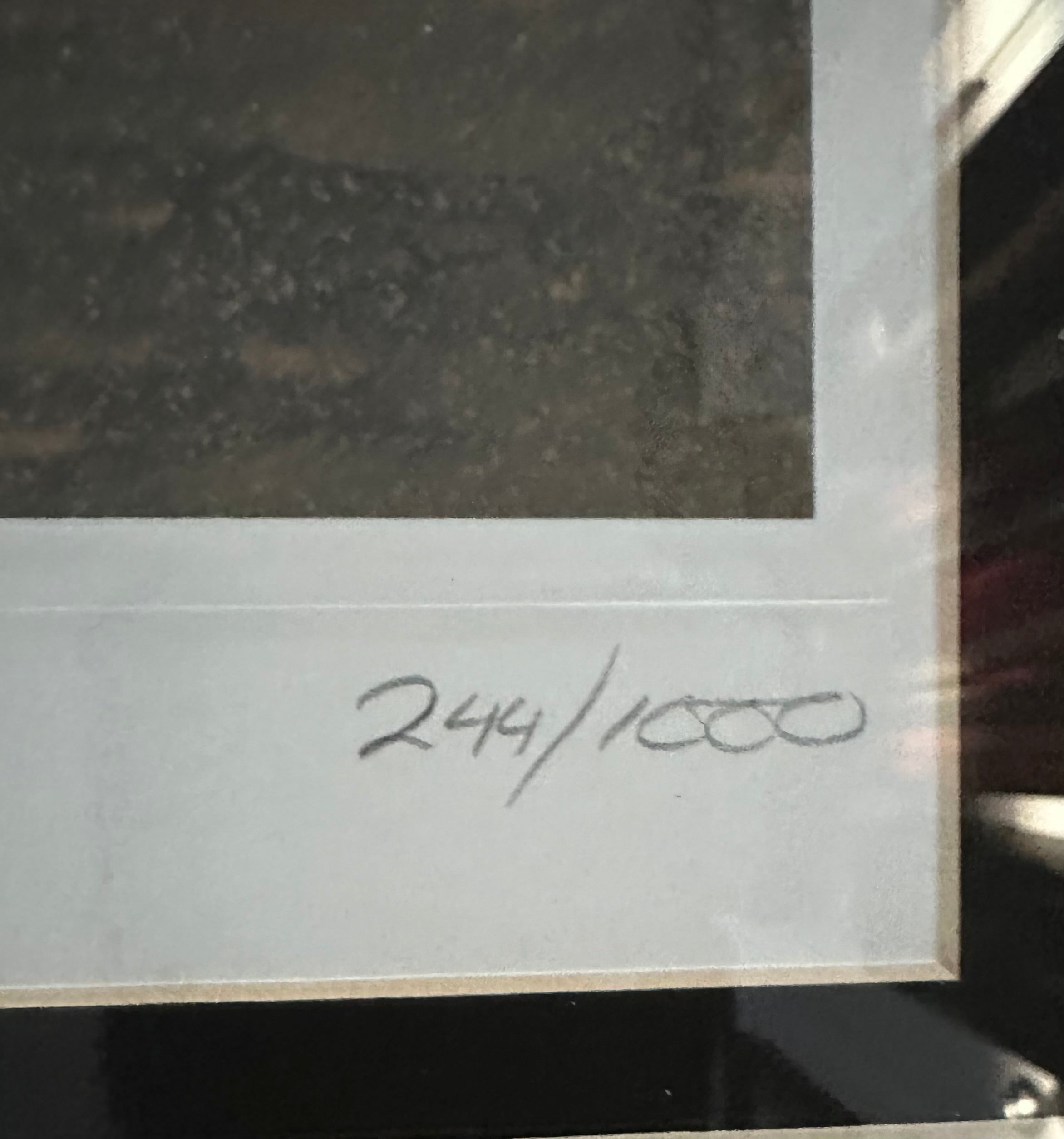 New York Yankees - Joe DiMagio Autographed