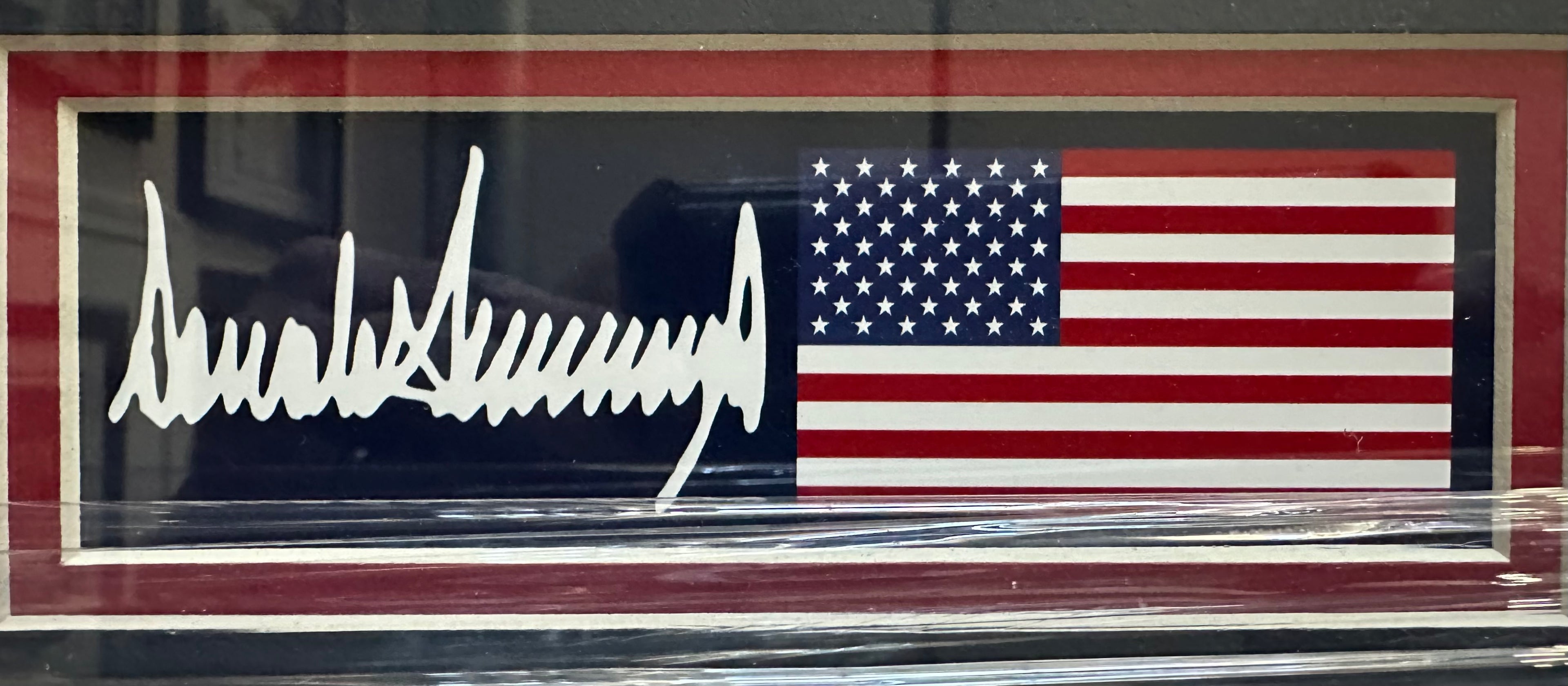 Donald Trump Pointing in front of American Flags