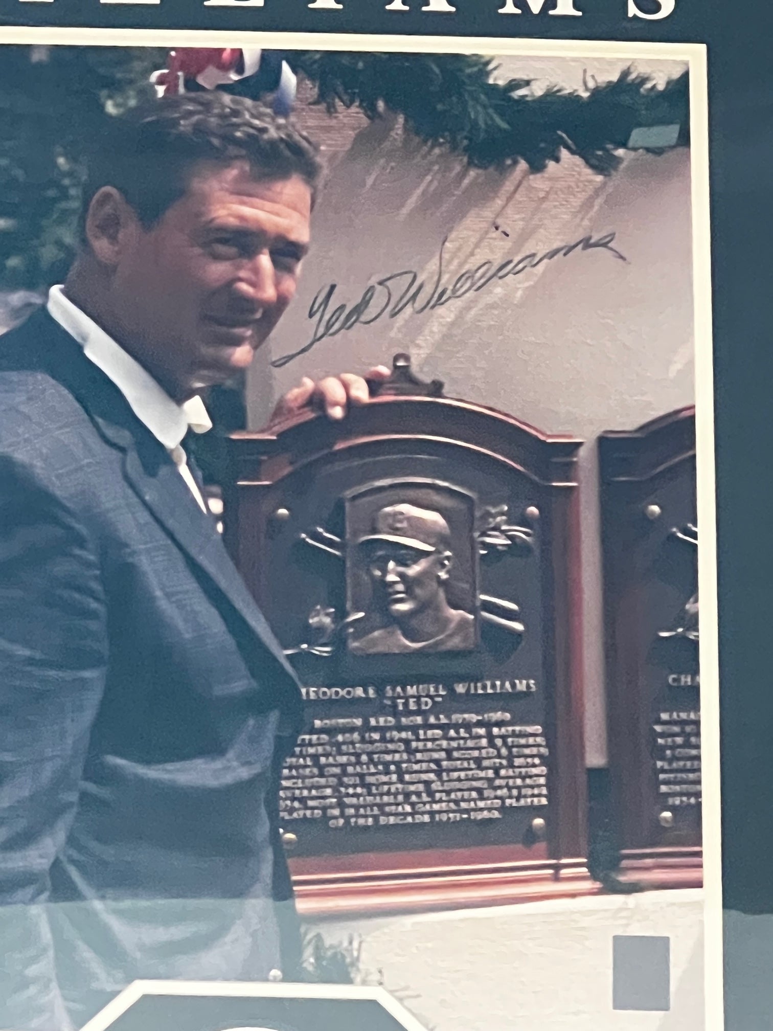 Ted Williams HOF