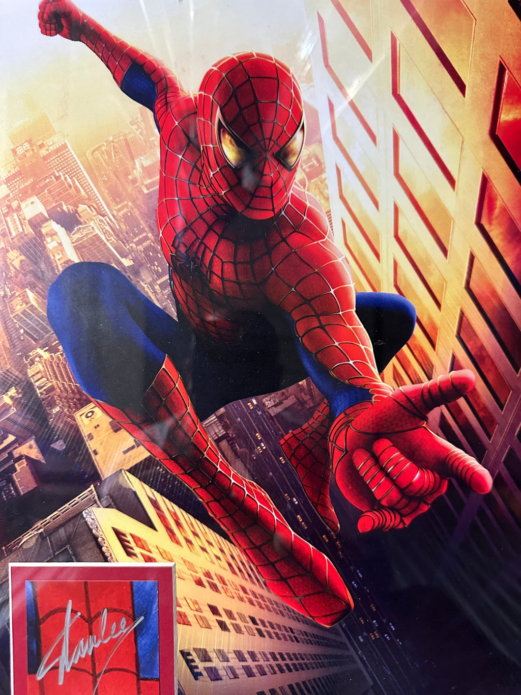 Stan Lee Autographed 11x14 Spider-Man