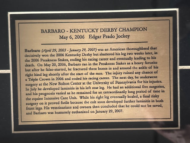 2006 Kentucky Derby Winner Barbaro