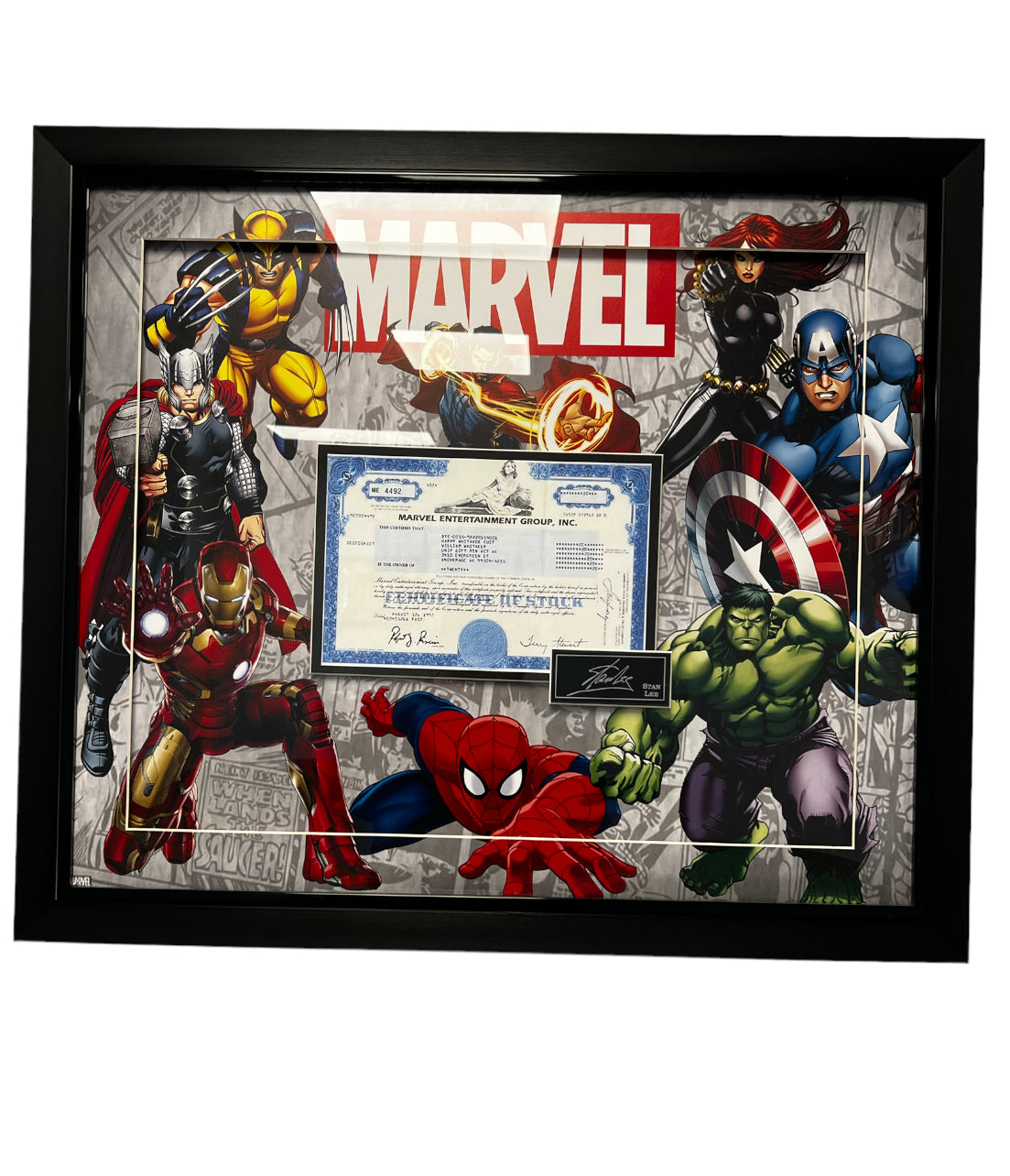 Marvel Heroes by Stan Lee