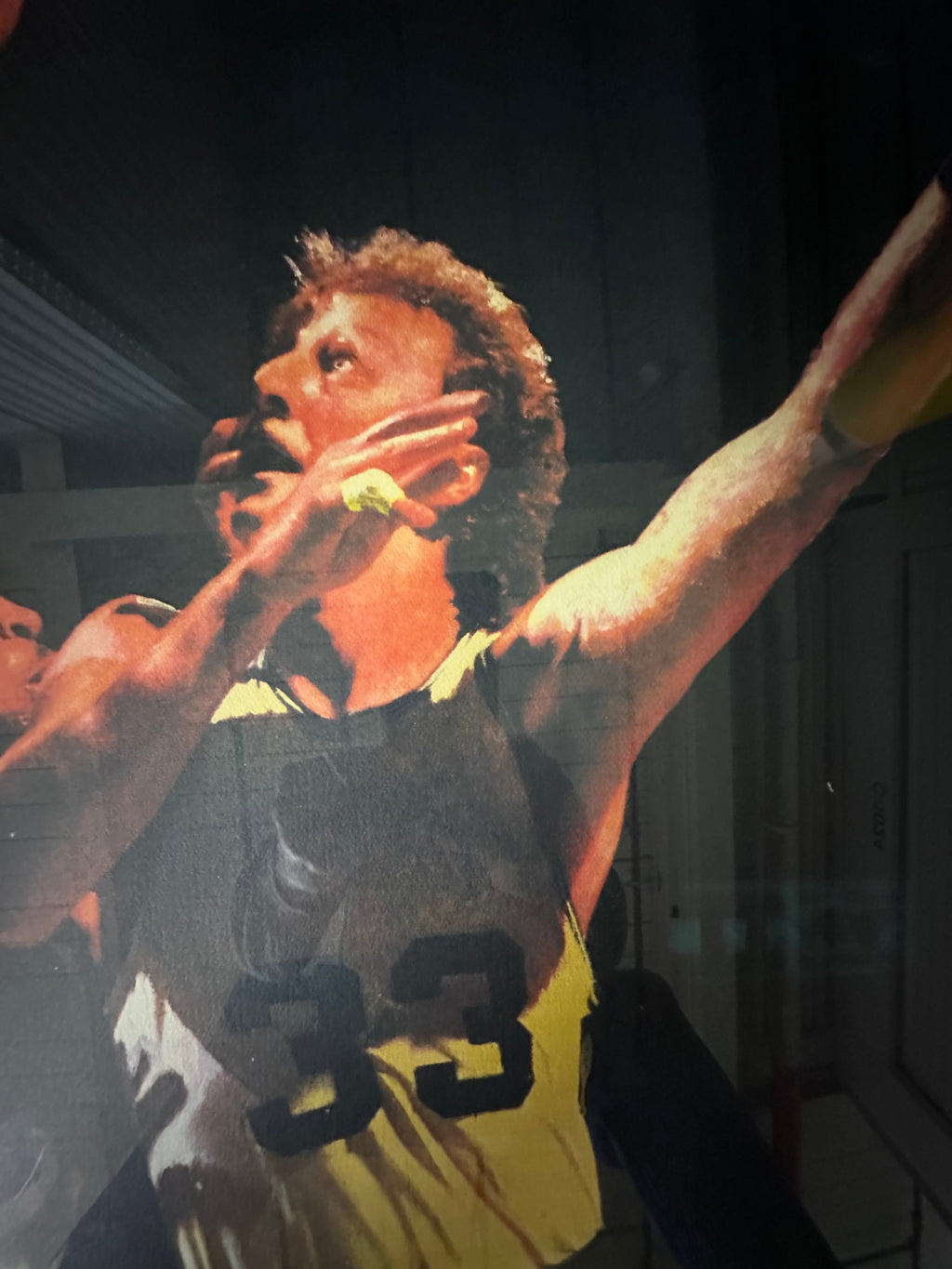 Boston Celtics - Larry Bird Lithograph with green ink autographed cut