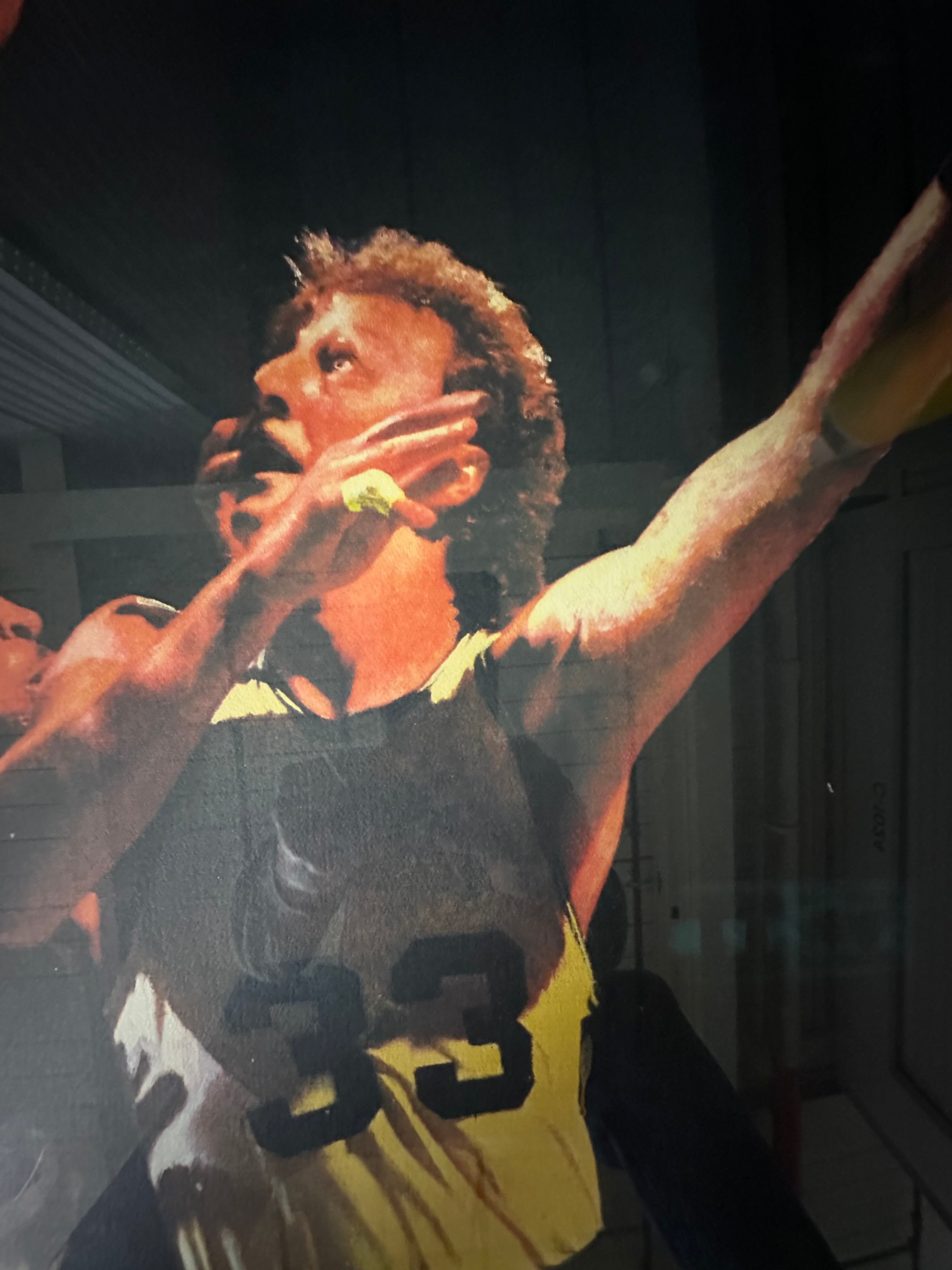 Boston Celtics - Larry Bird Lithograph with green ink autographed cut