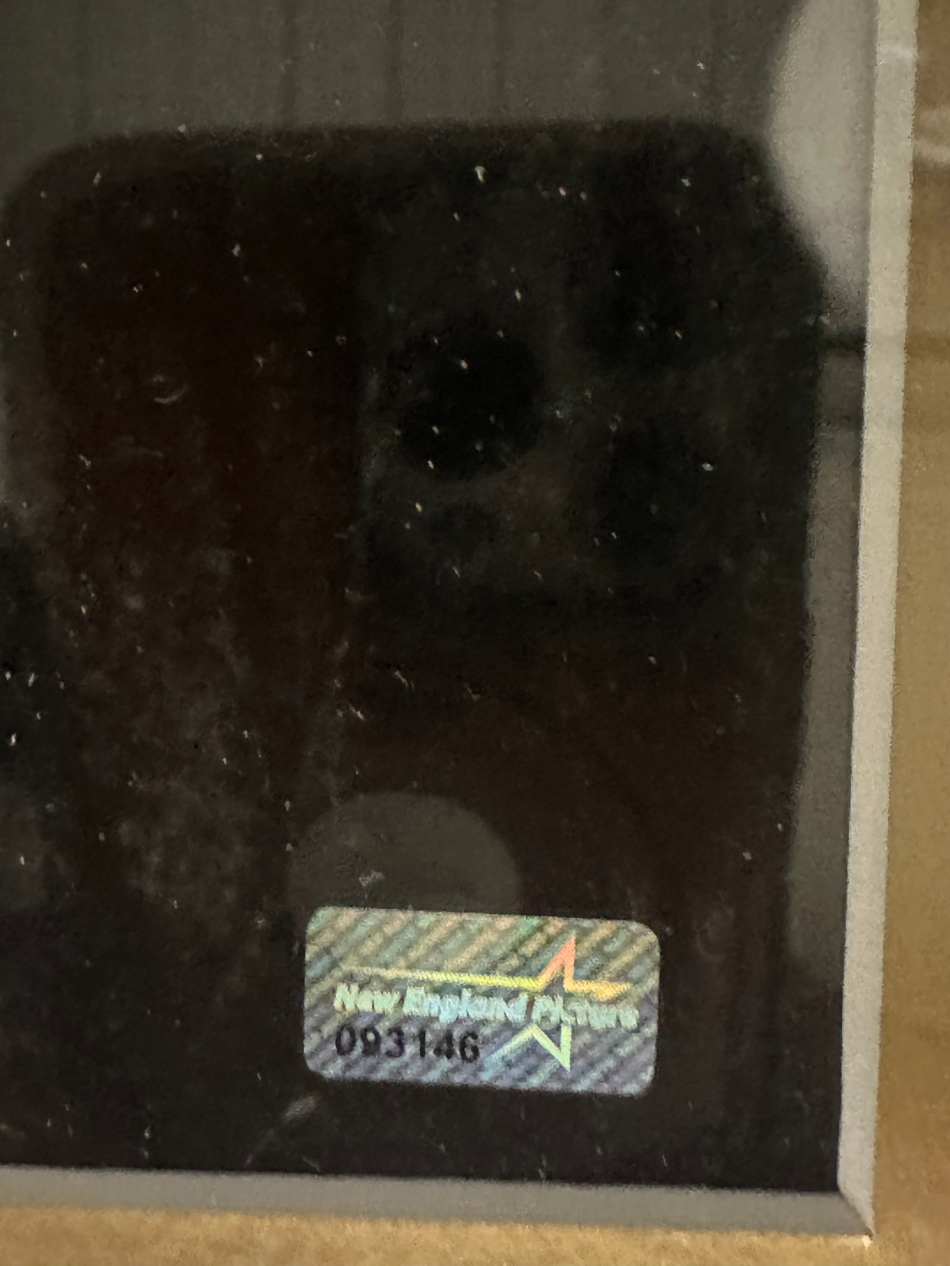 Boston Bruins - Derek Sanderson 16 x 20 Autographed